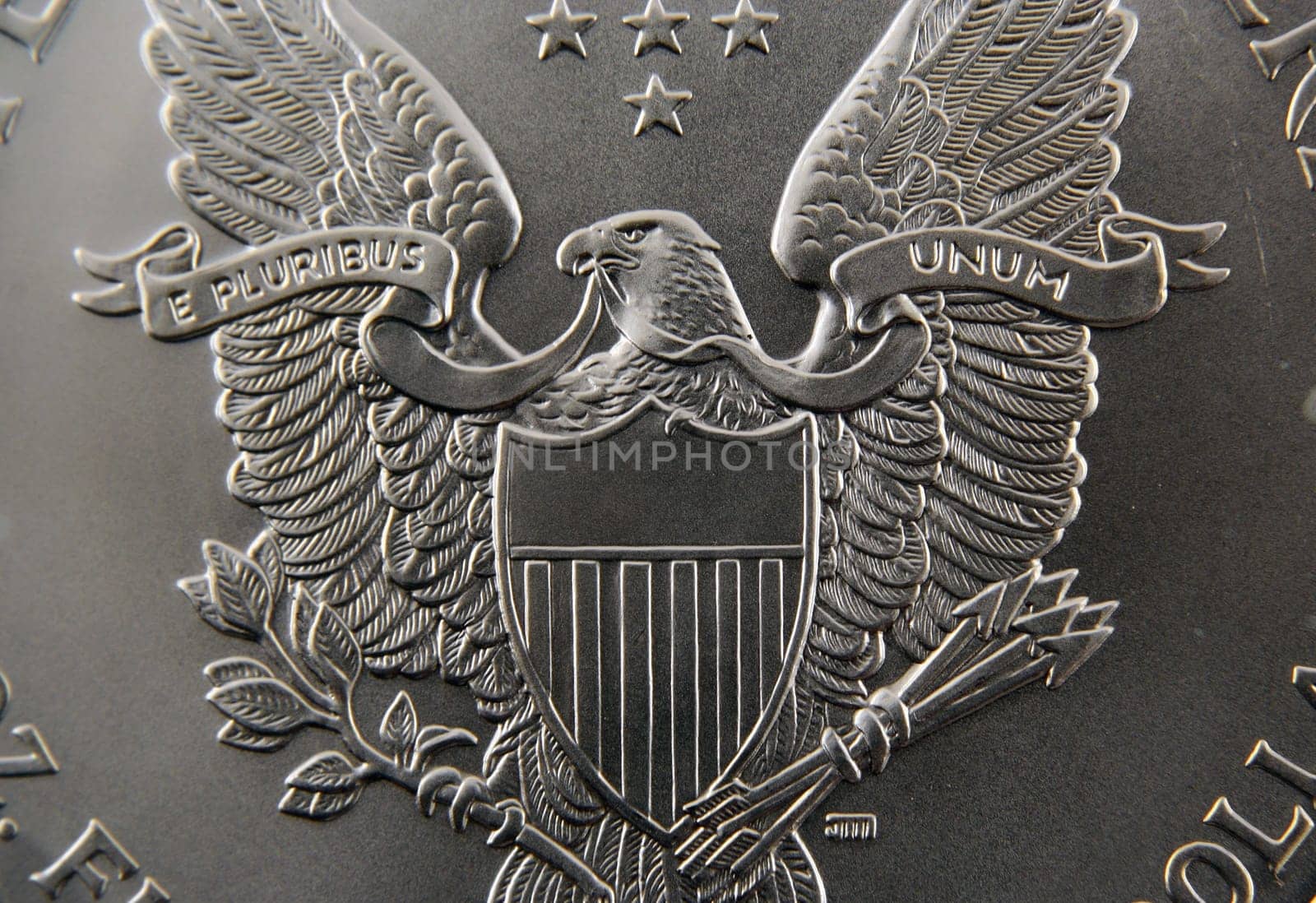 Silver Dollar Back Macro
