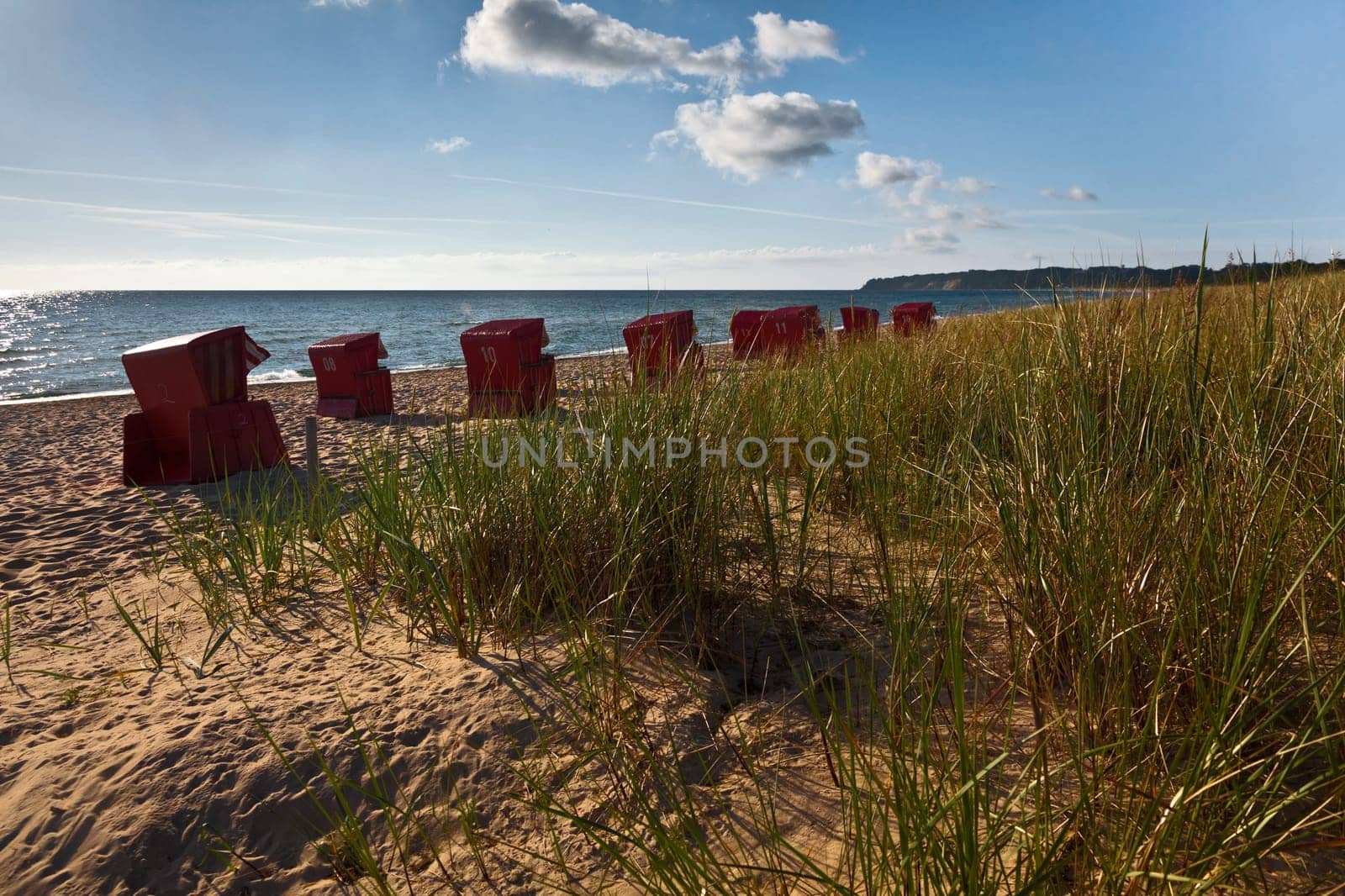 Beach chairs