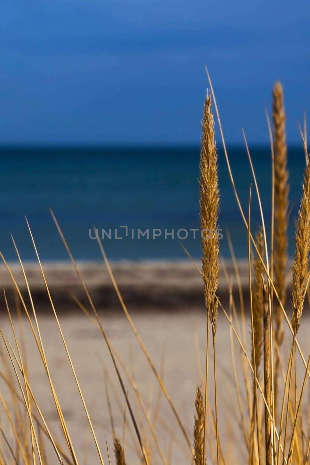 by the sea