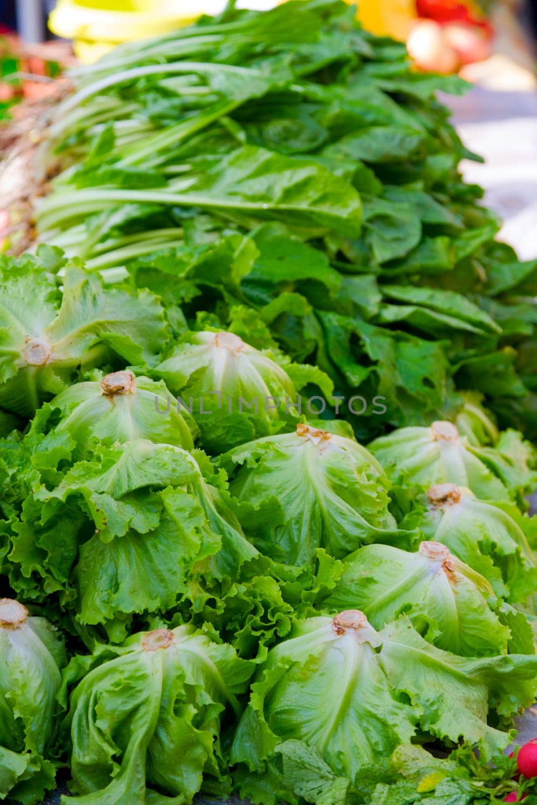 Fresh green produce at an outdoor farmers market