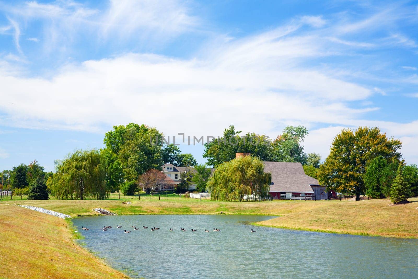 Typical rural scenery in Central Indiana with a farm and a pond