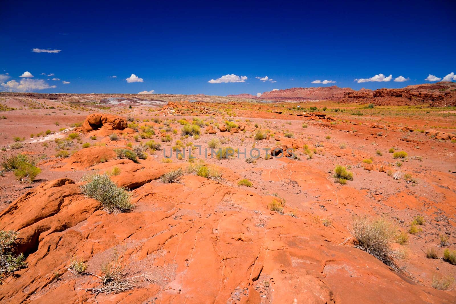 Arizona Painted Desert in the summer.