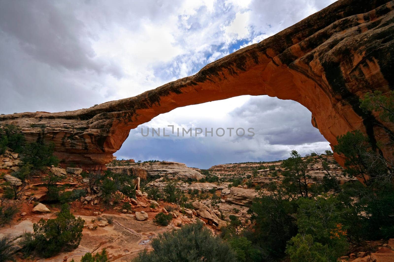 Owachomo Bridge in Natural Bridges National Monument, Utah
