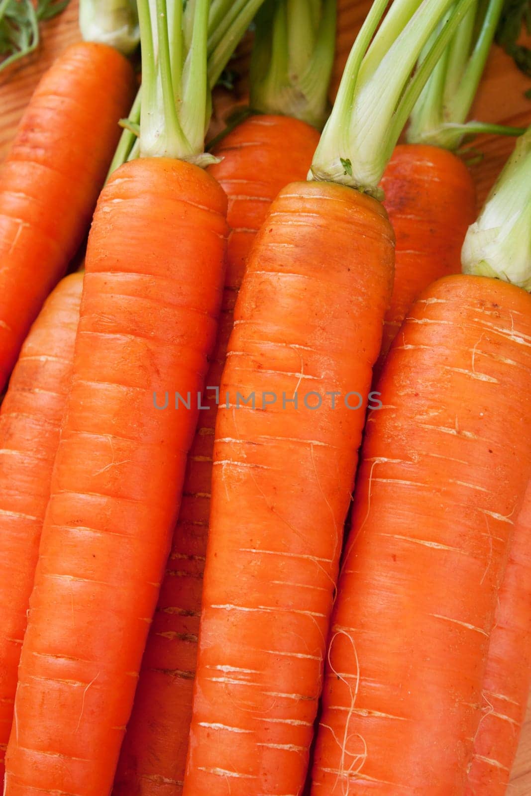 Background of brunch of fresh Carrot with roots