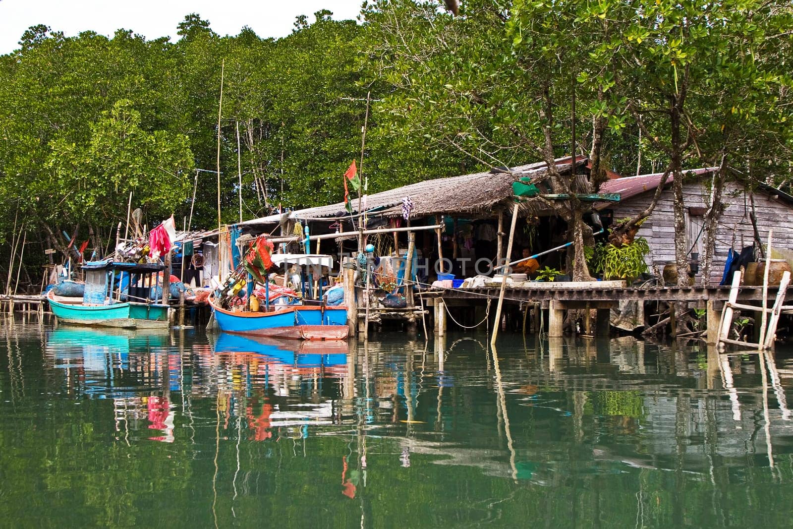 huts at the mangrove everglades in a small fishermans village in Koh Chang