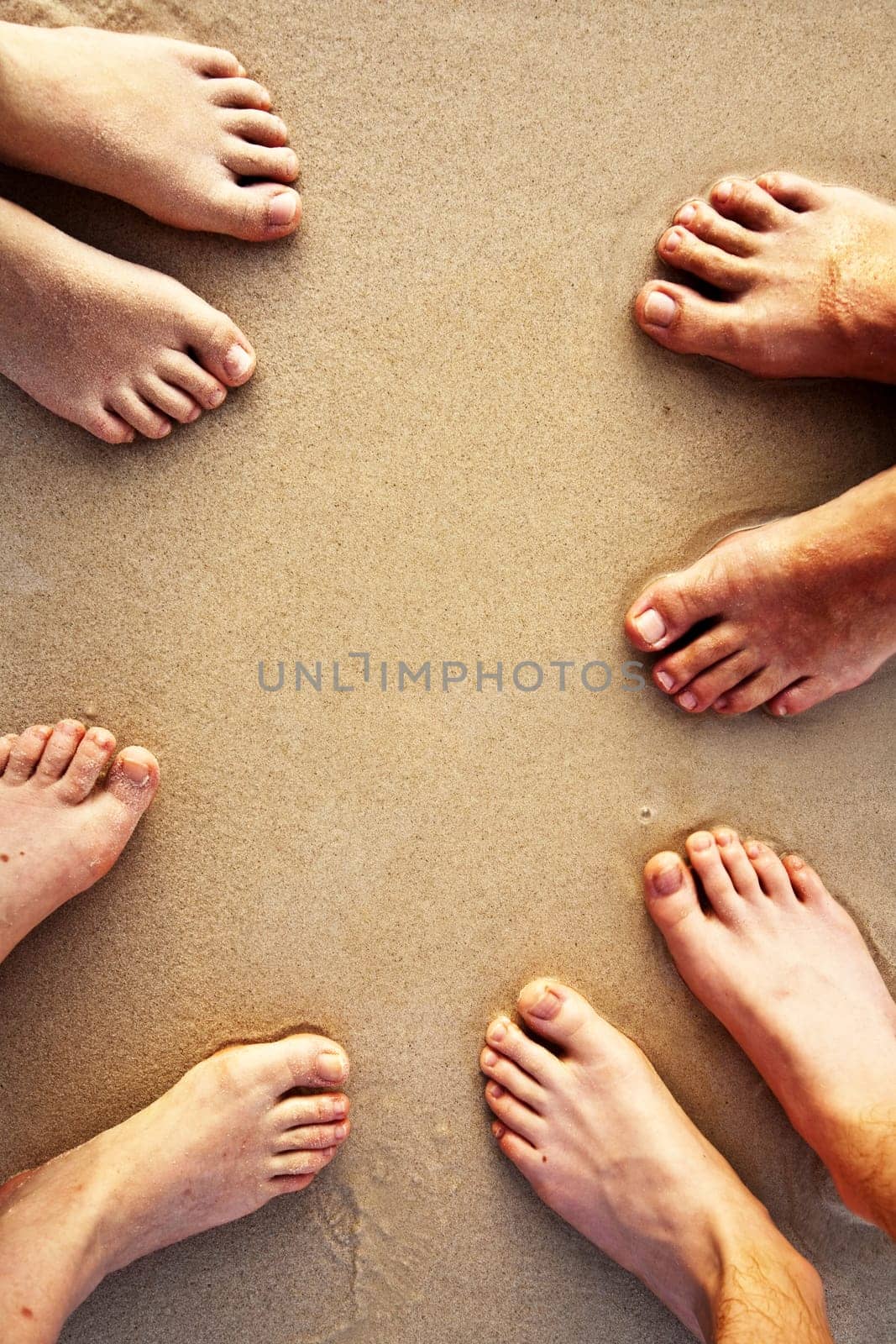 feed of the family, father, mother  and two suns at the sandy beach