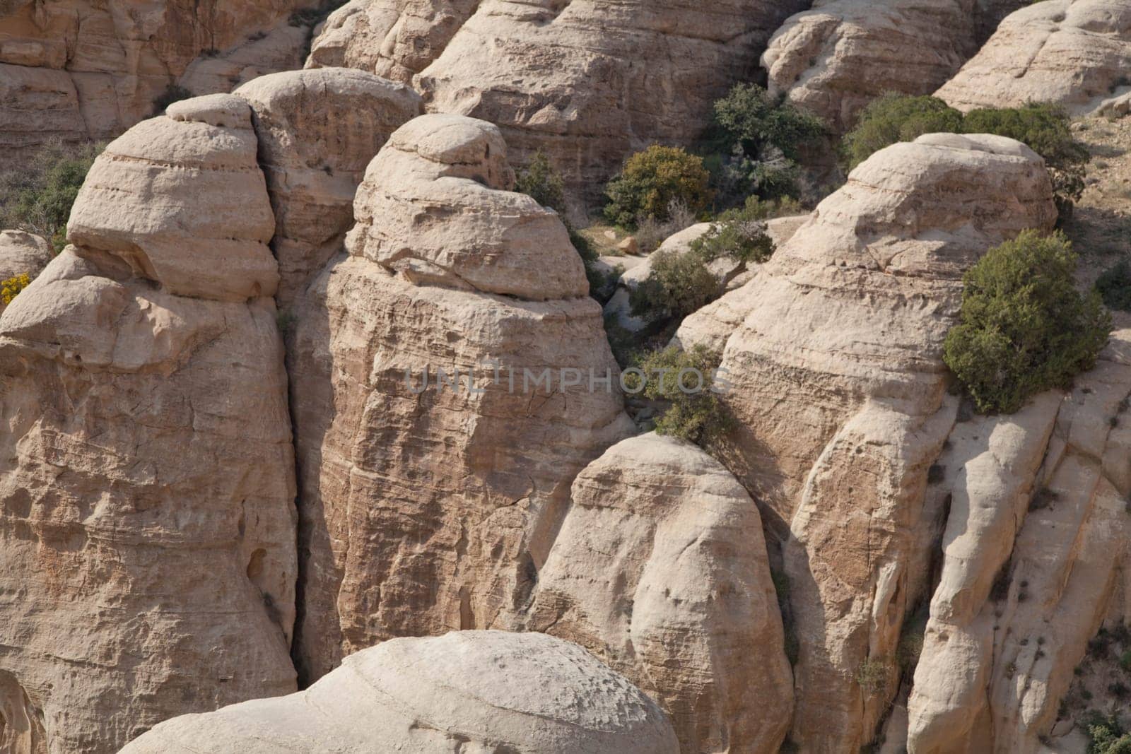 Dana Biosphere Reserve in Jordan