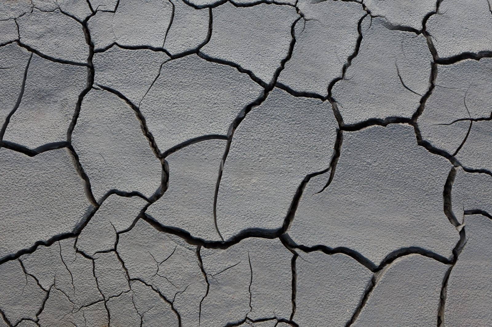 a nice texture on a dry land