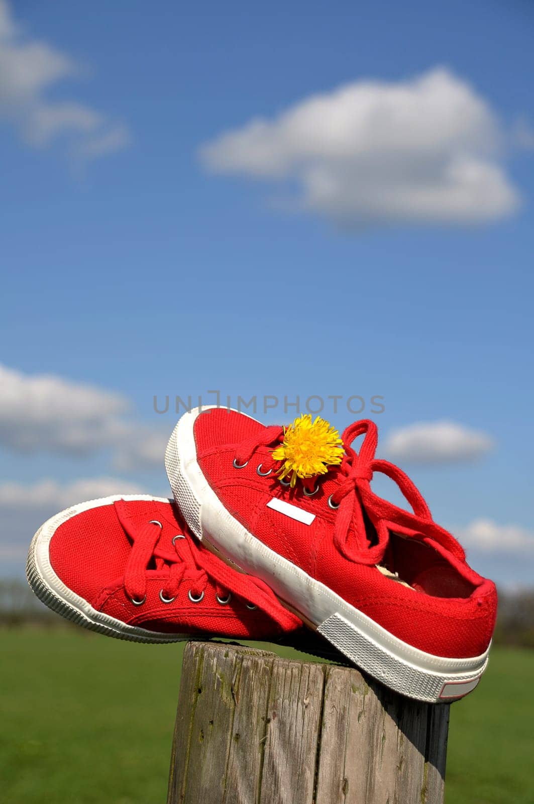 Summer feeling