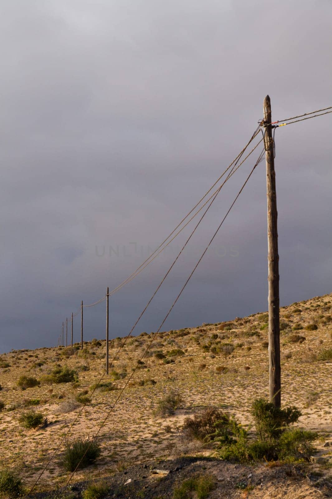 Power line in the desert