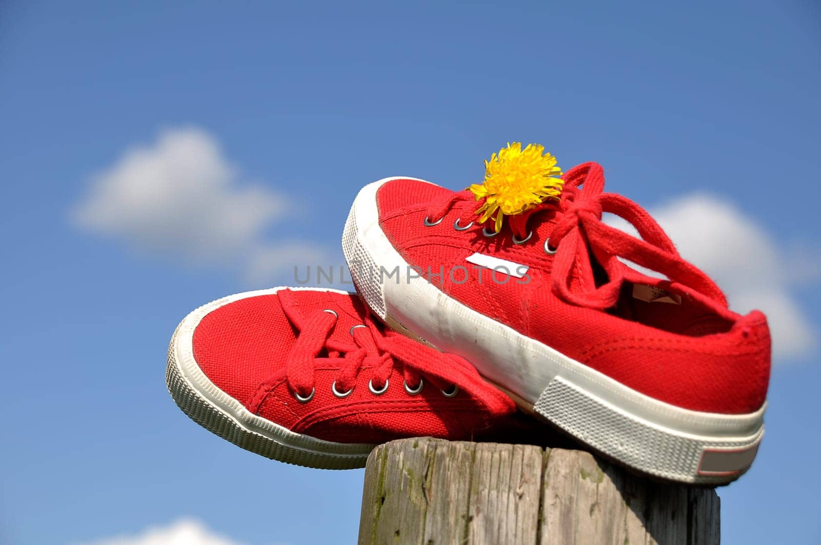 Summer feeling