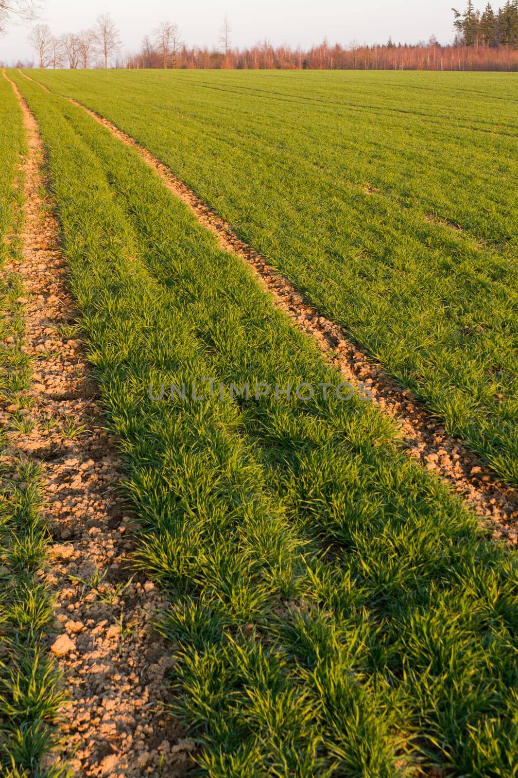 Dirt road