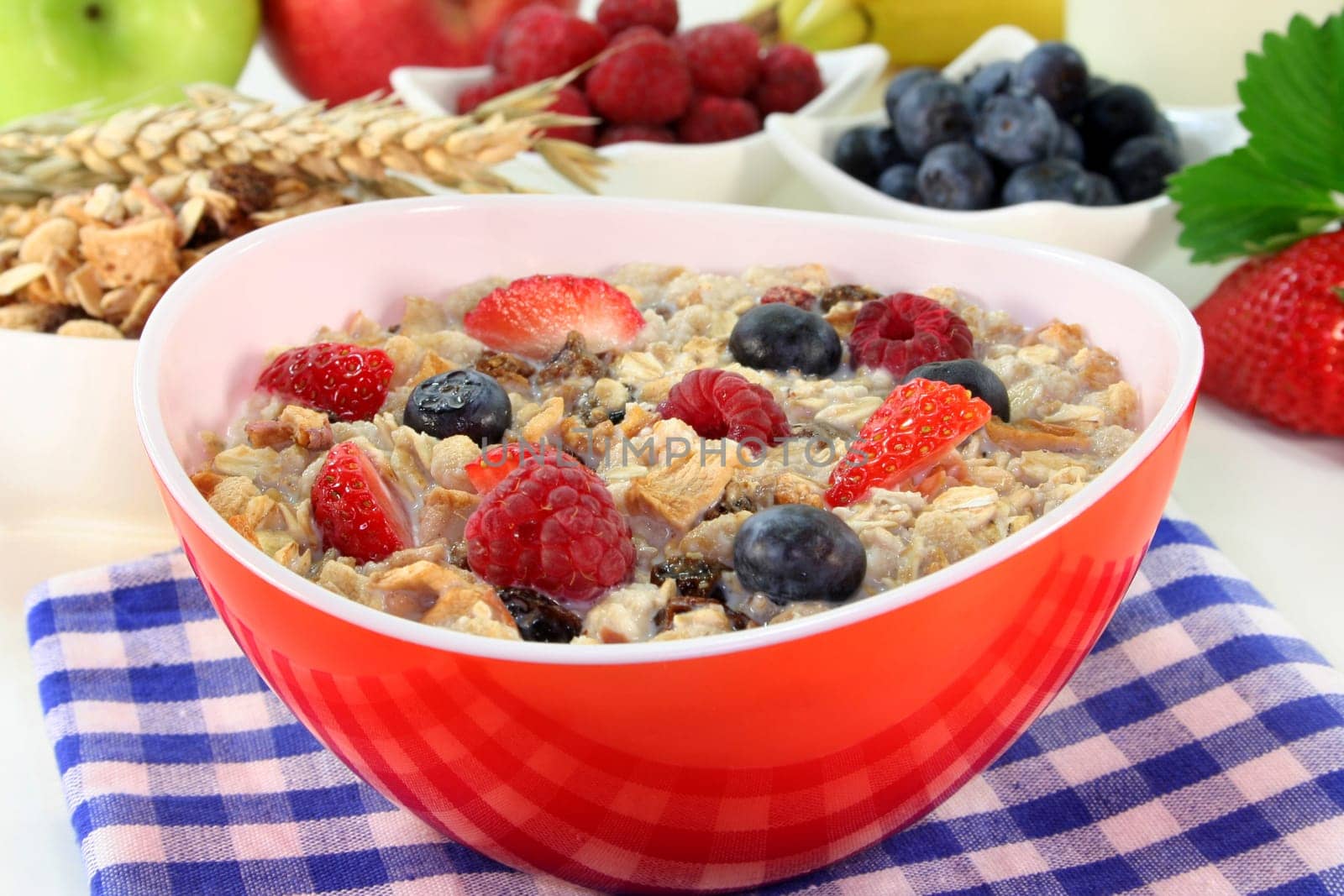 a bowl of fruit muesli with yoghurt and lemon balm
