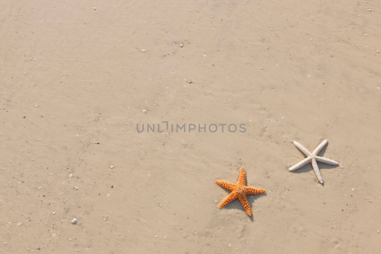 Idyllic summer vacation background with copy space