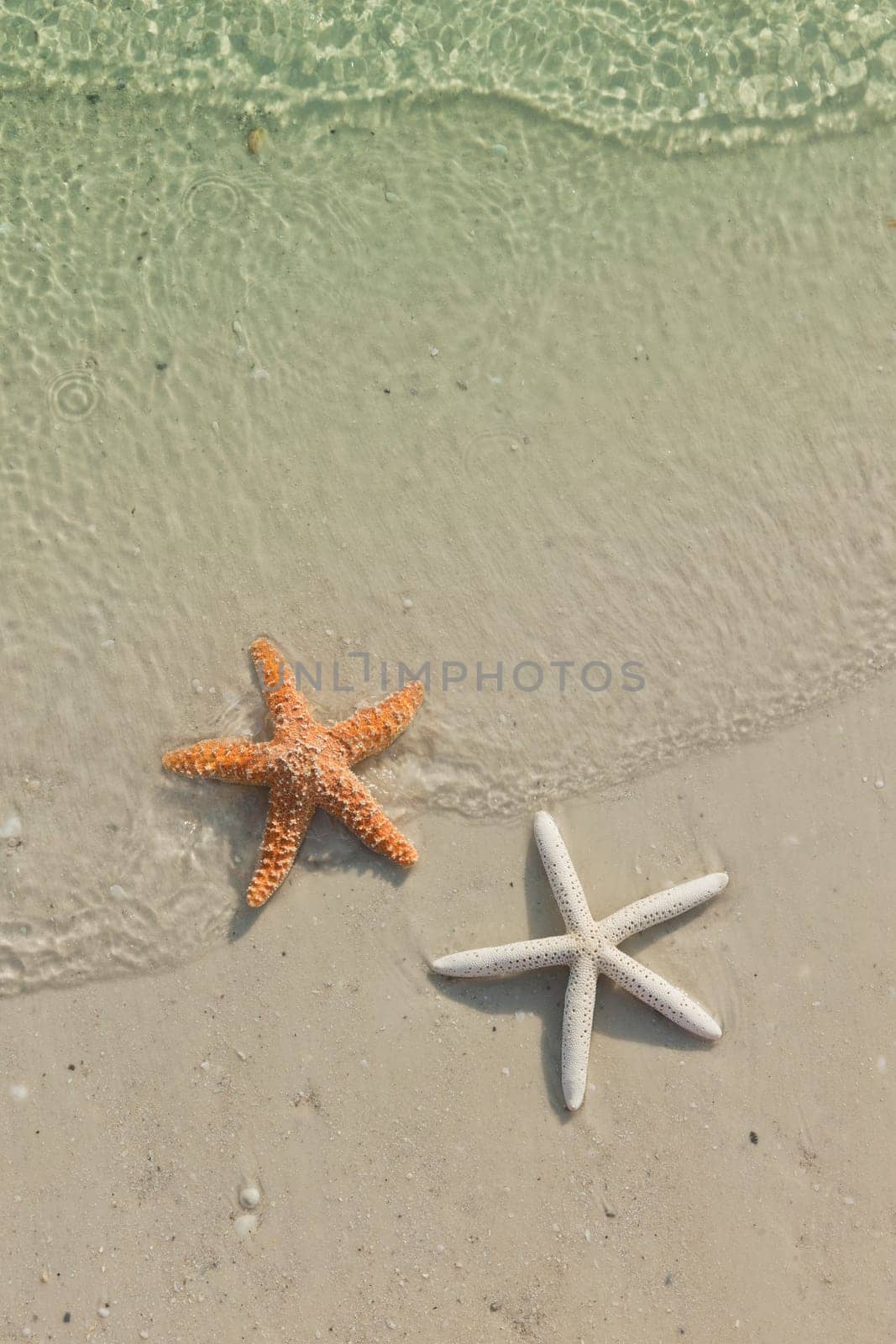 Idyllic summer vacation background with copy space