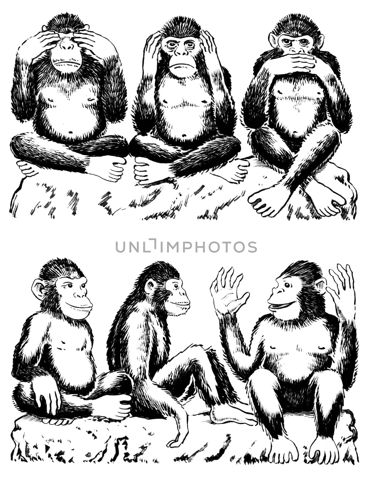 Black and white illustration of three monkeys acting out famous expression. See no evil, hear no evil, speak no evil. One monkey has his hands over his eyes, one over his ears, and another over his mouth. All sitting cross legged. Below are three monkeys