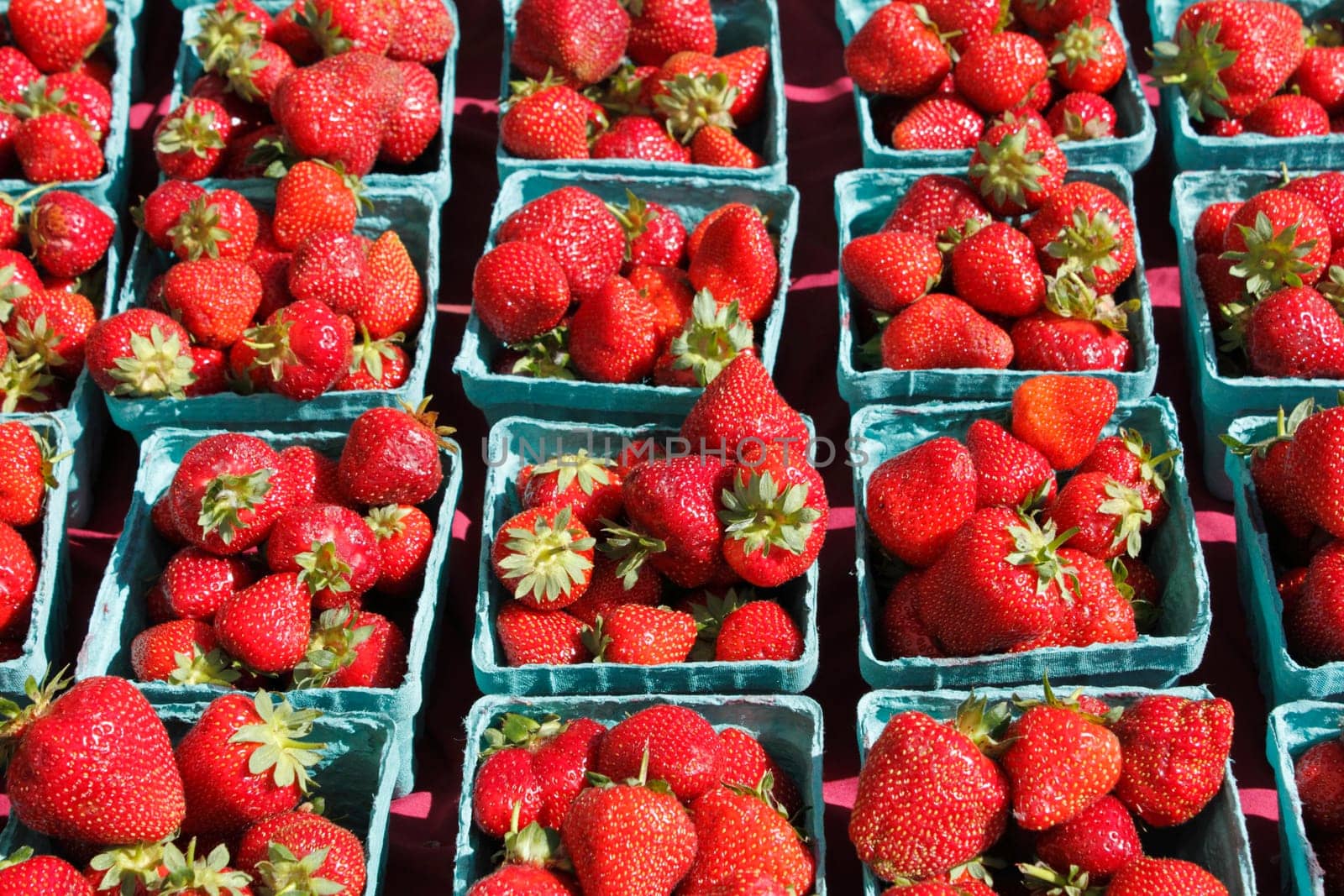 Table full of pints of strawberries out in the sun for sale at a market.