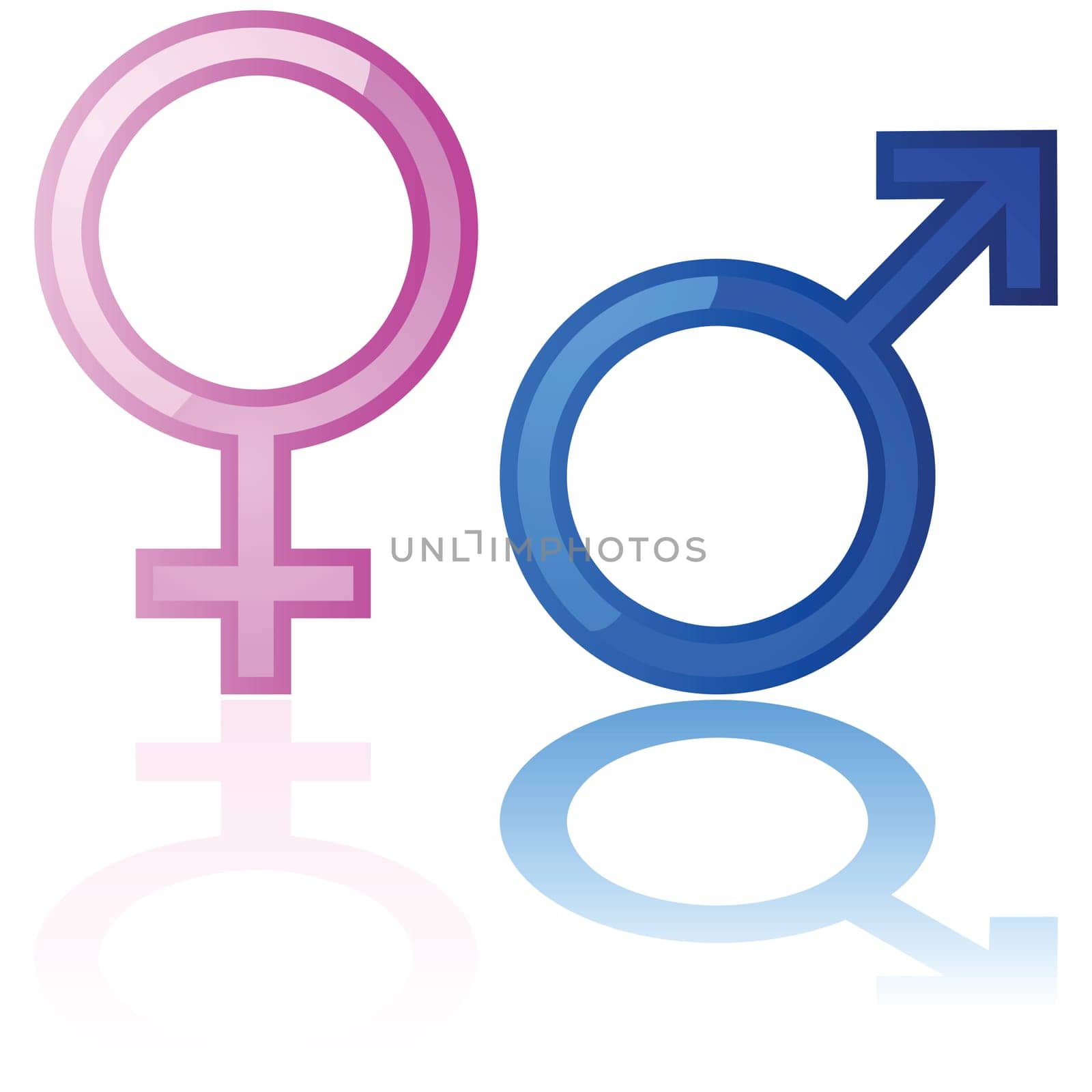 Glossy illustration of a male and a female symbol reflected over a white background