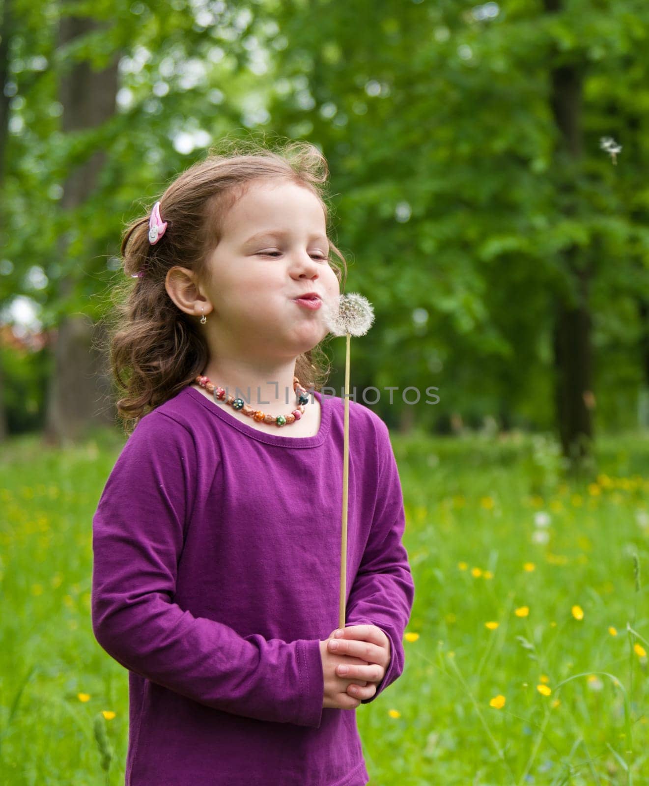 Happy expression - cute little girl blowing to dandelion