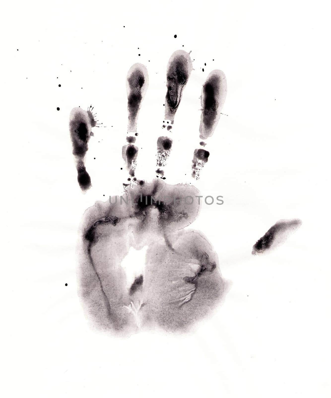 Image of the open palm