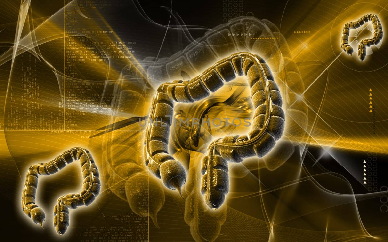 Digital illustration of large intestine in colour background