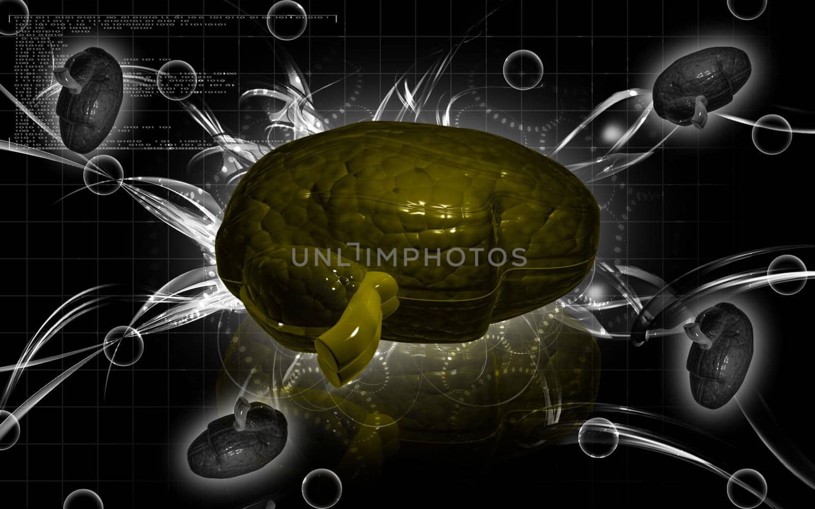 Digital illustration of brain in colour background