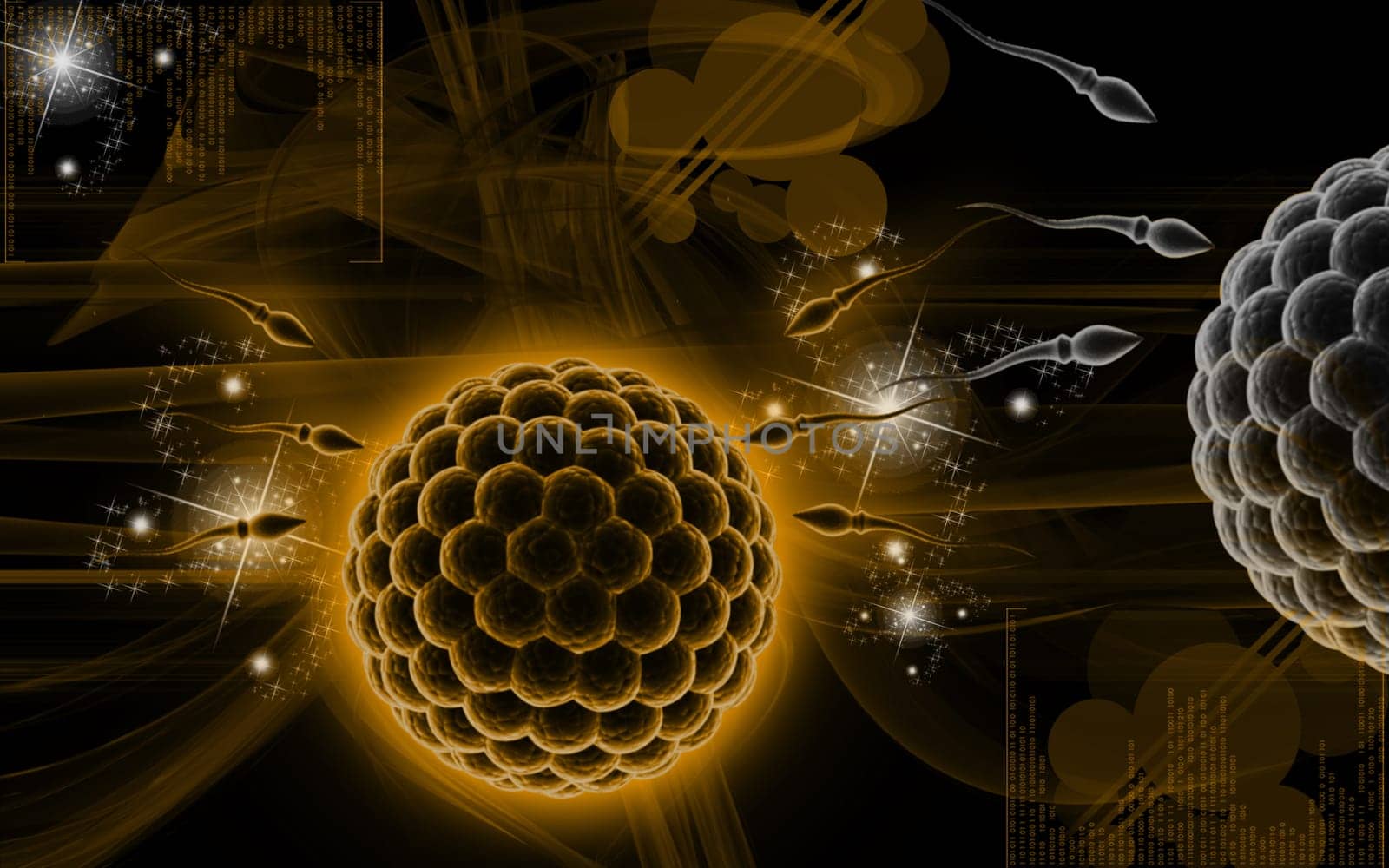 Digital illustration of human egg fertilizing sperm in colour background