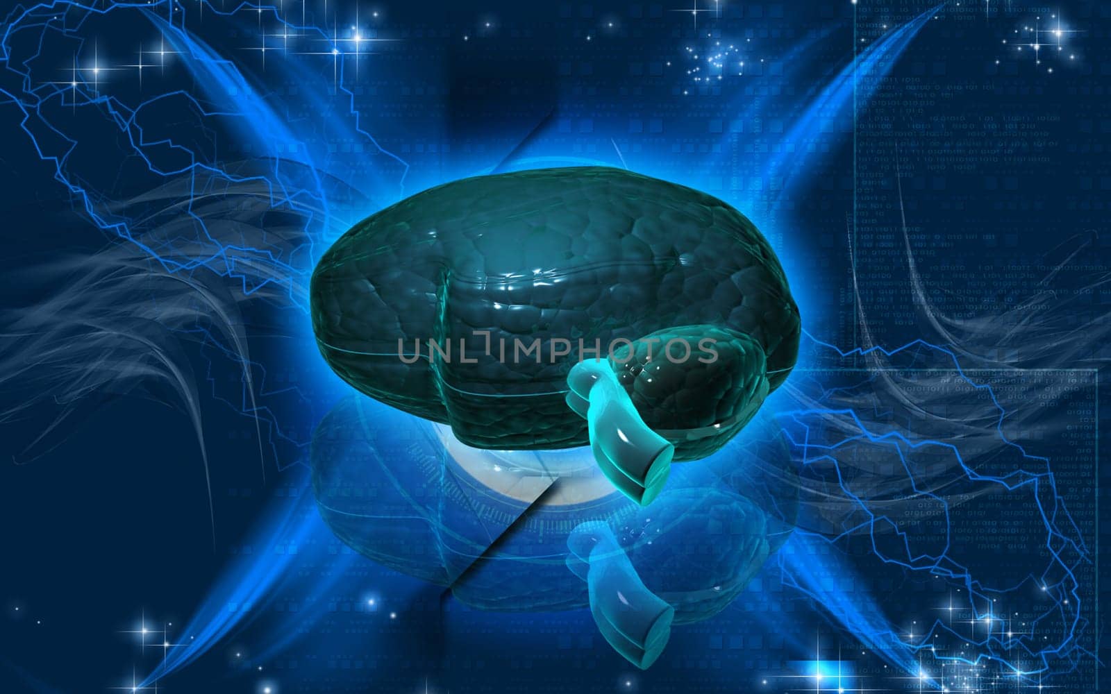 Digital illustration of brain in colour background