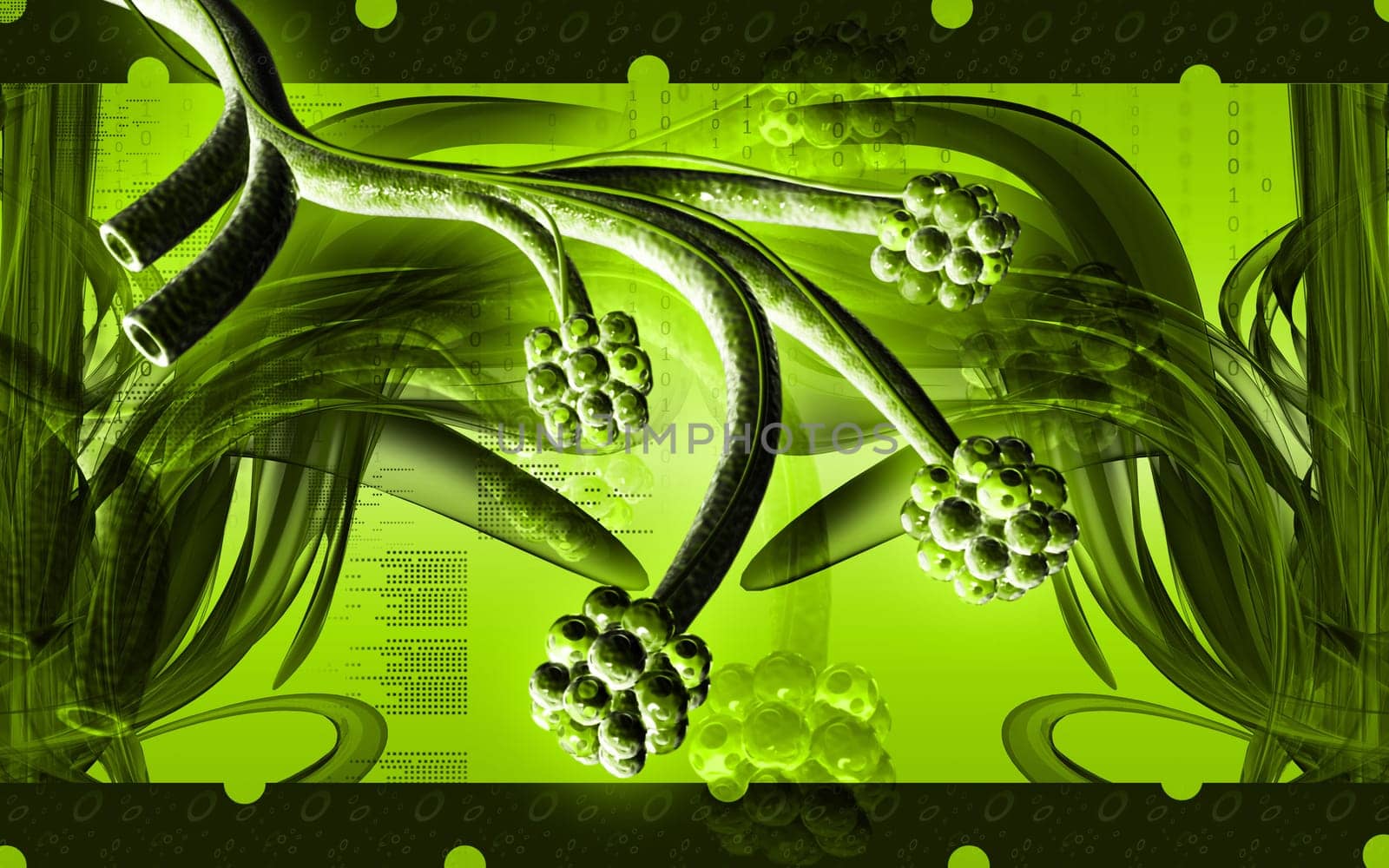 Digital illustration of alveoli in colour background