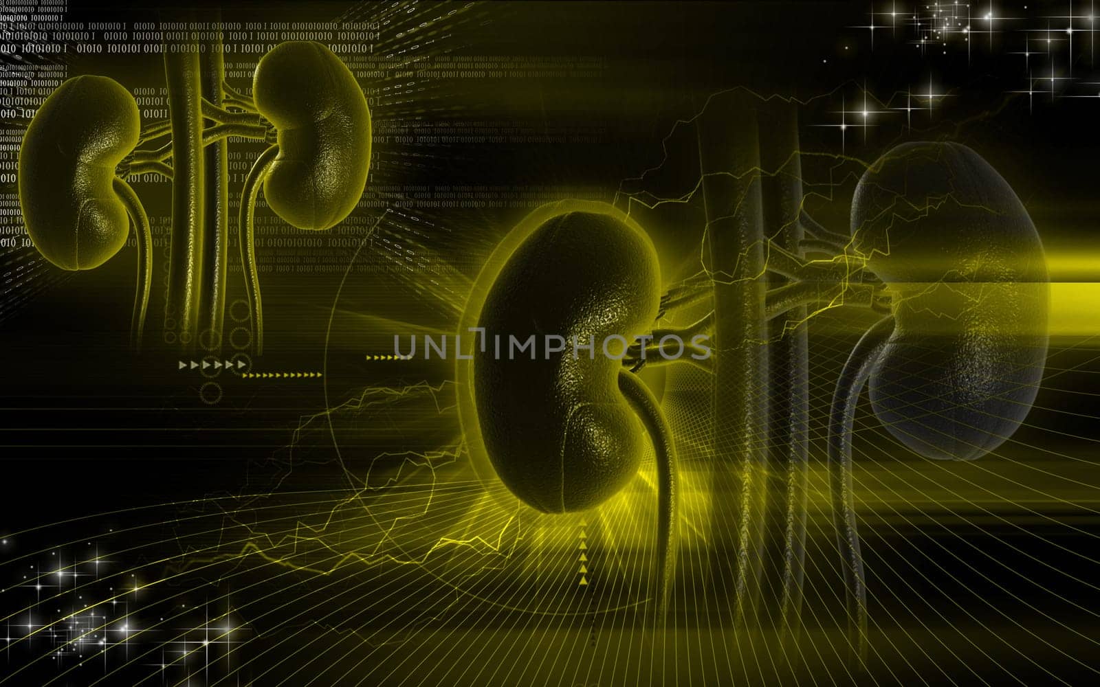Digital illustration of kidney in colour background