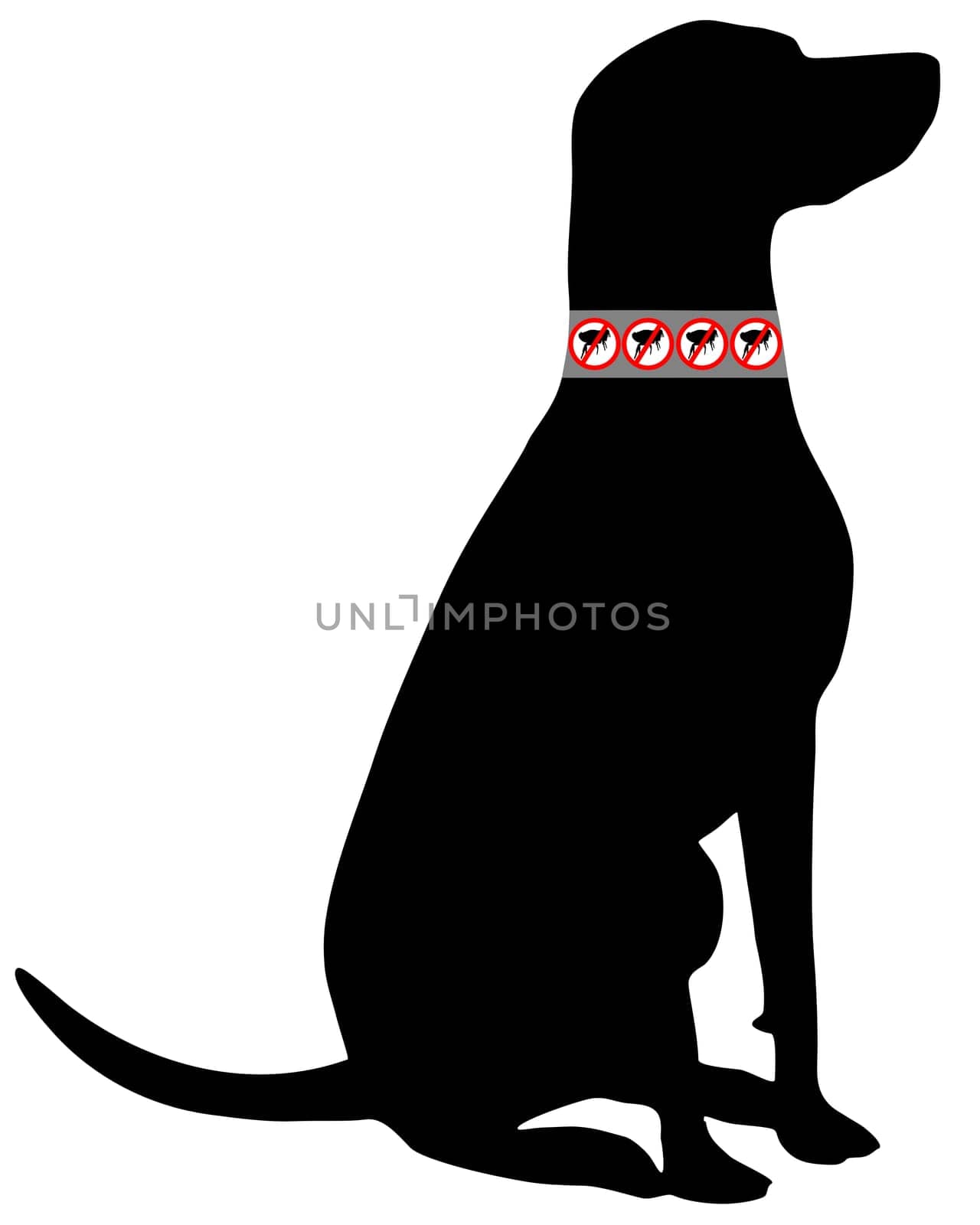 Dog with flea collar