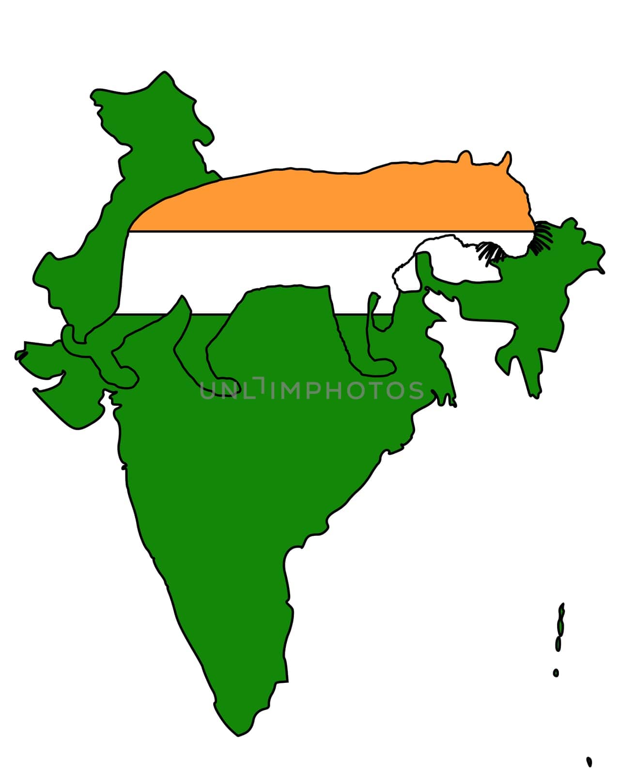 India Tiger