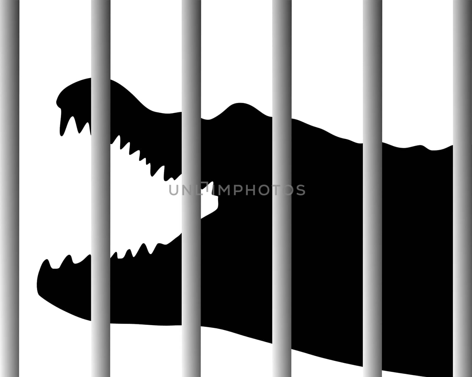 Crocodile in the zoo