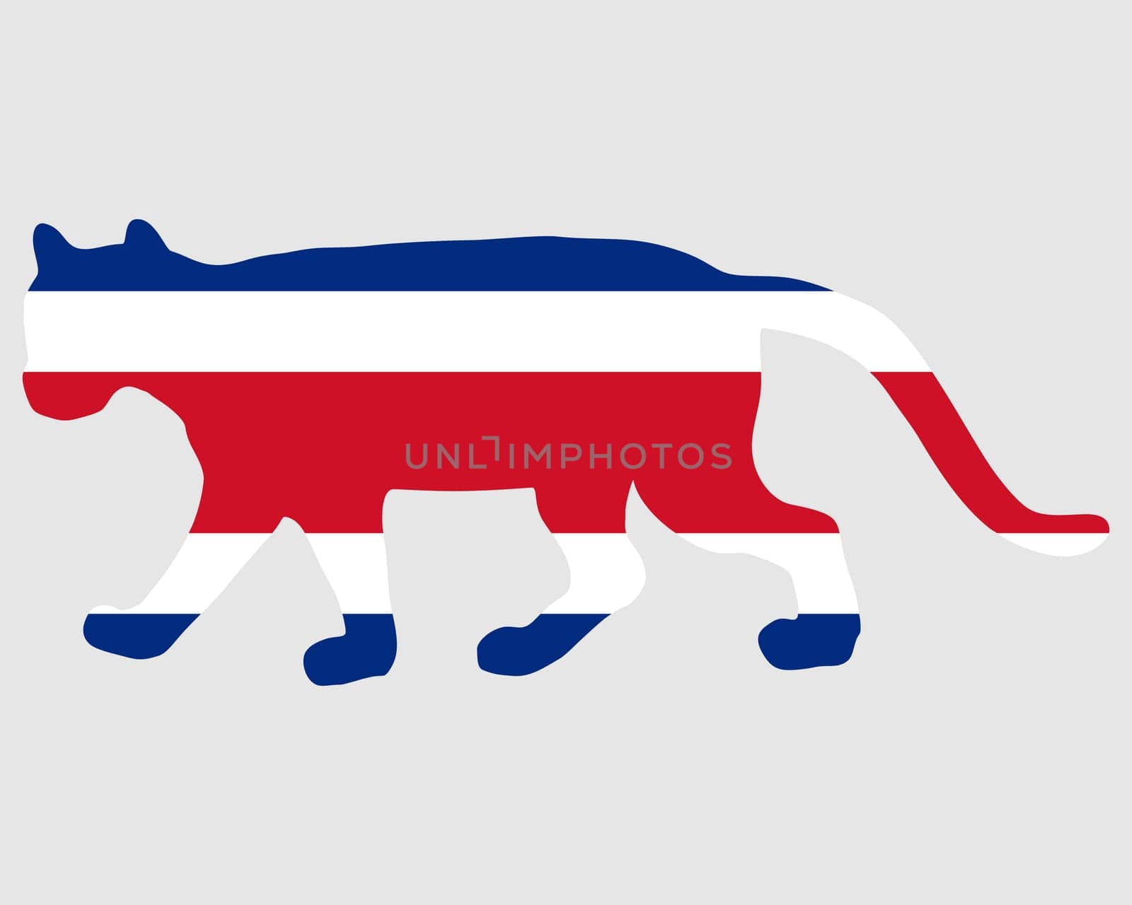 Puma Costa Rica
