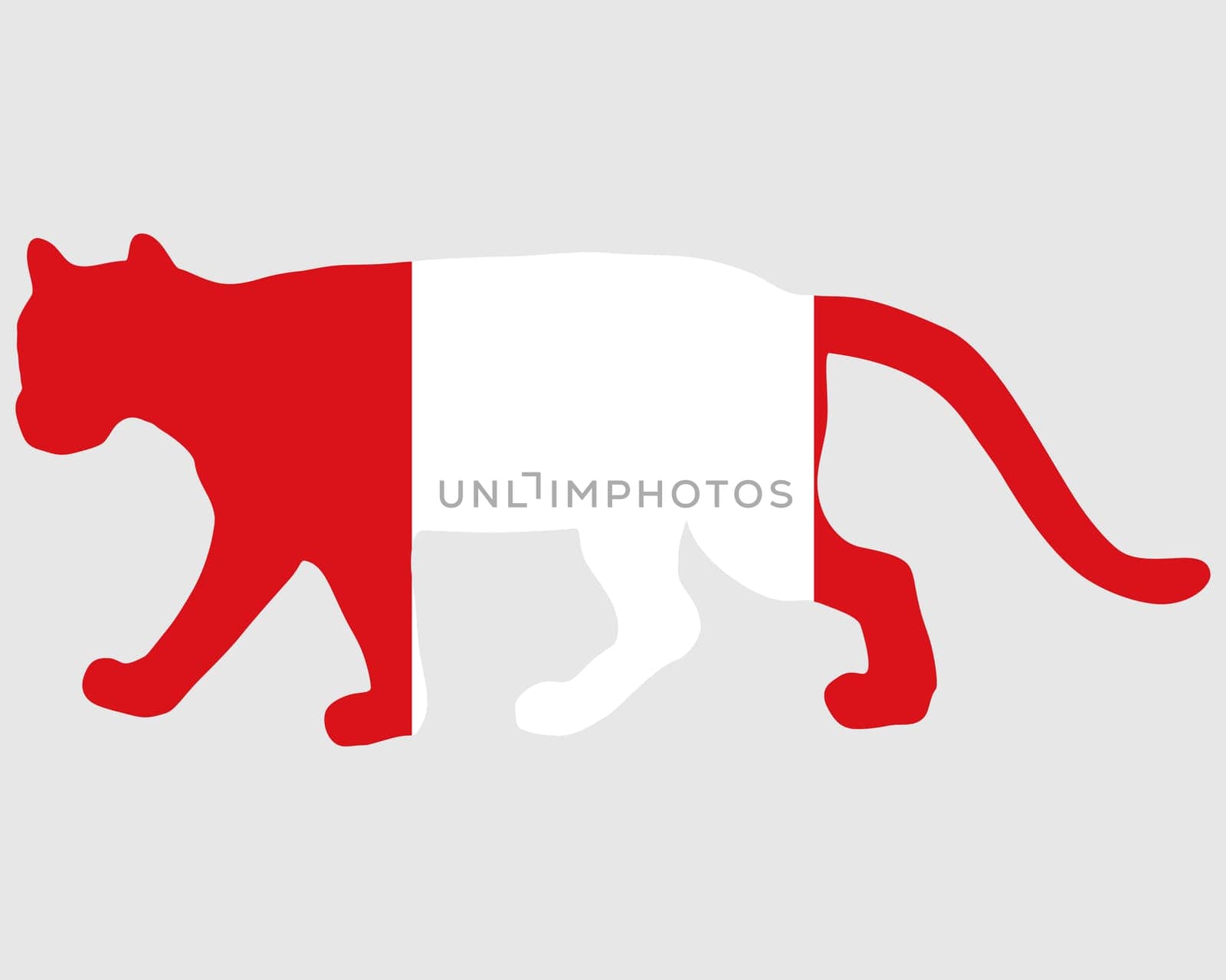 Puma Peru