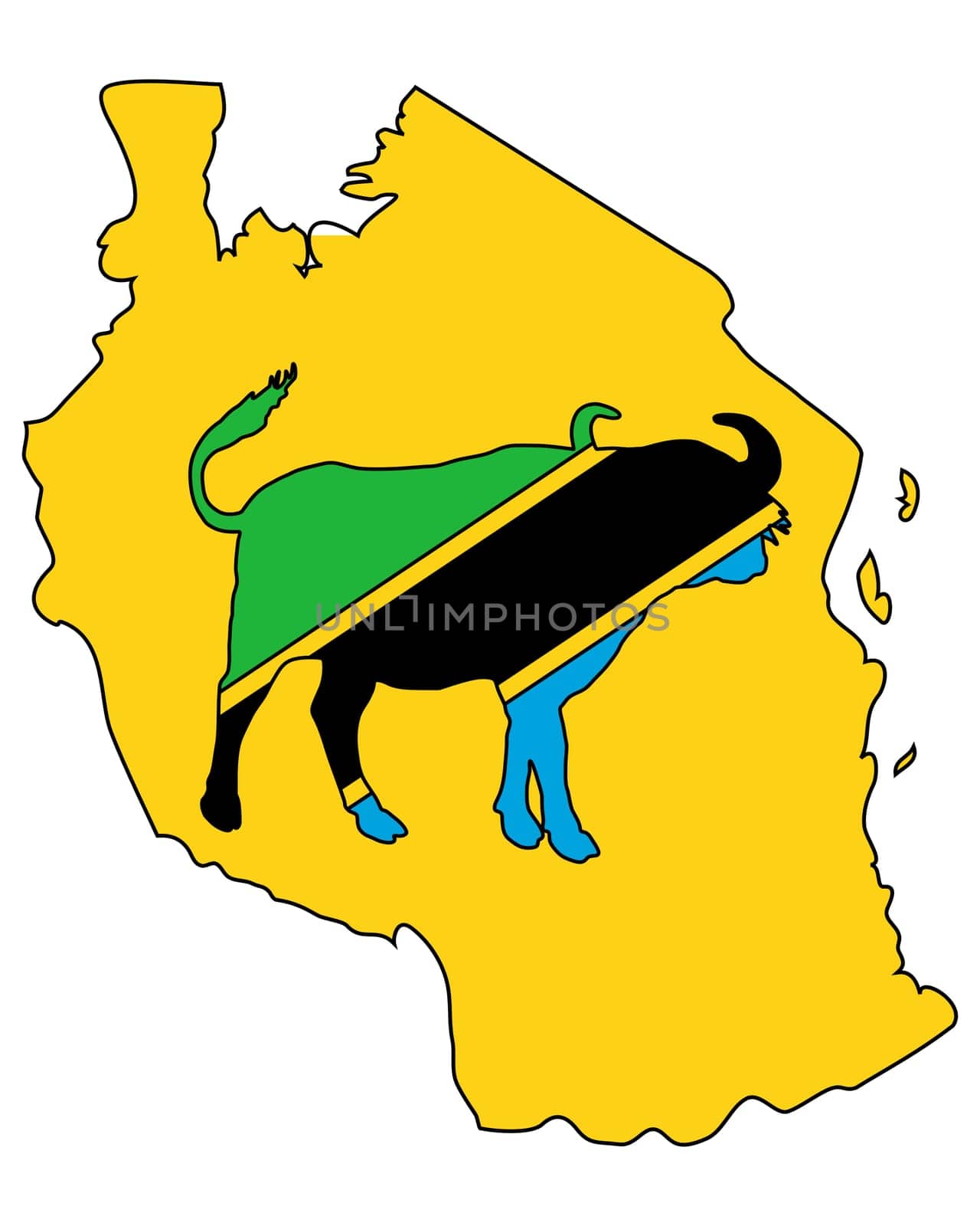 Tanzania Buffalo