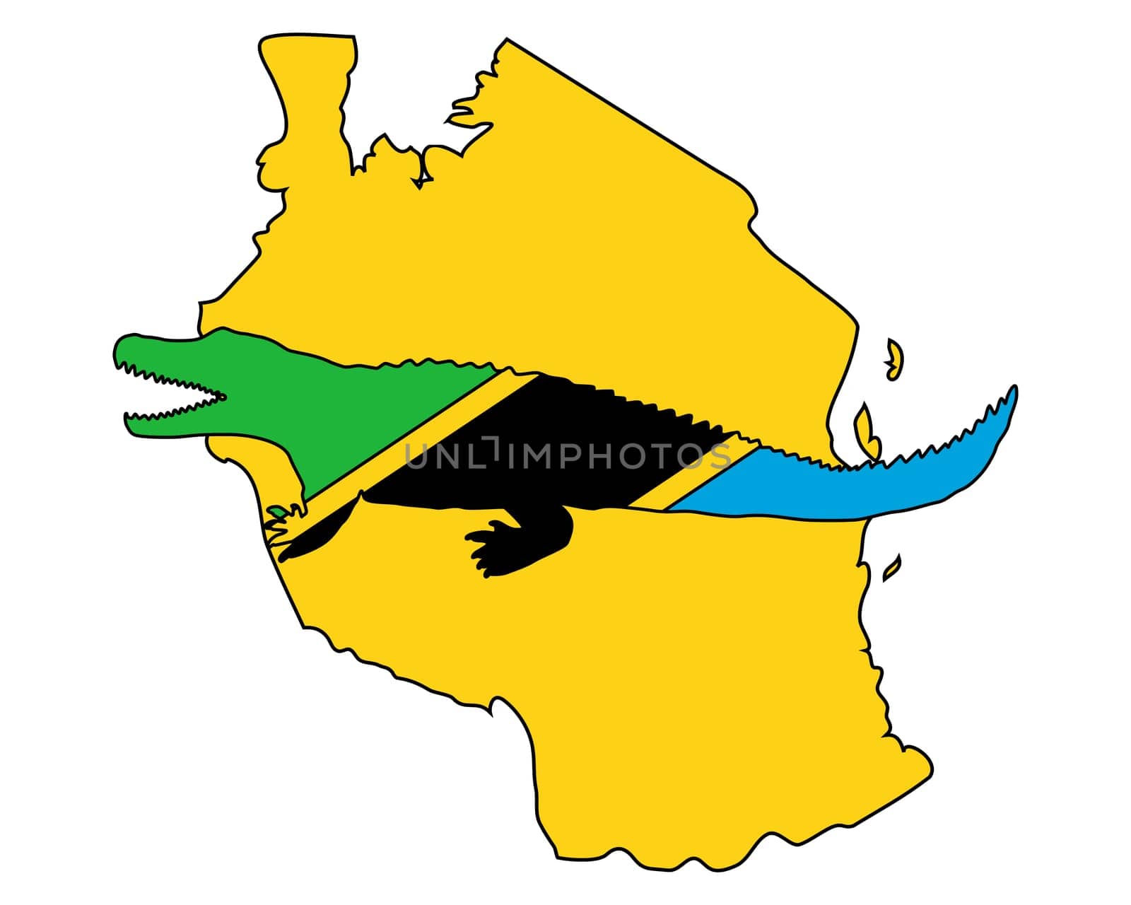 Nile Crocodile Tanzania