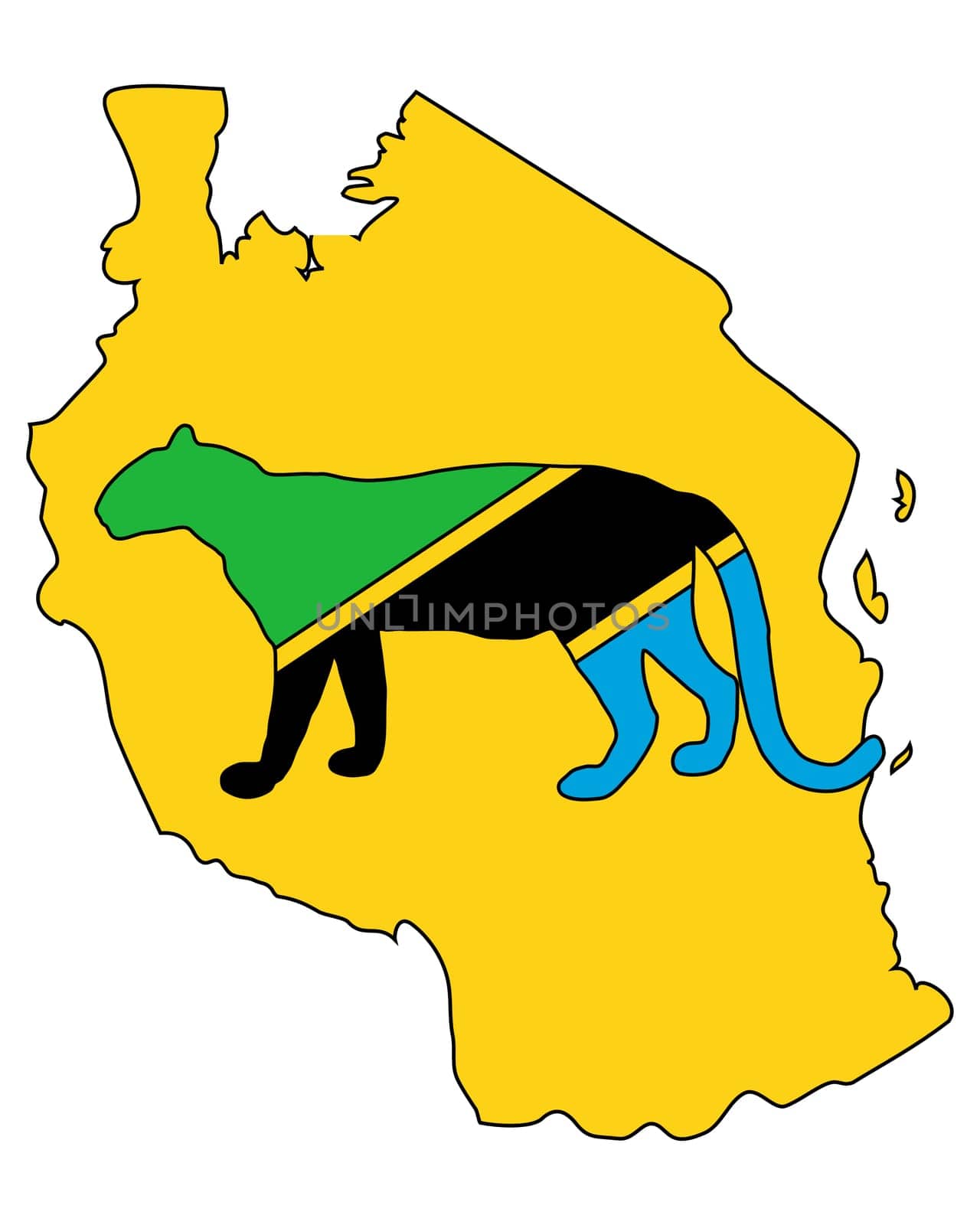 Tanzania Leopard