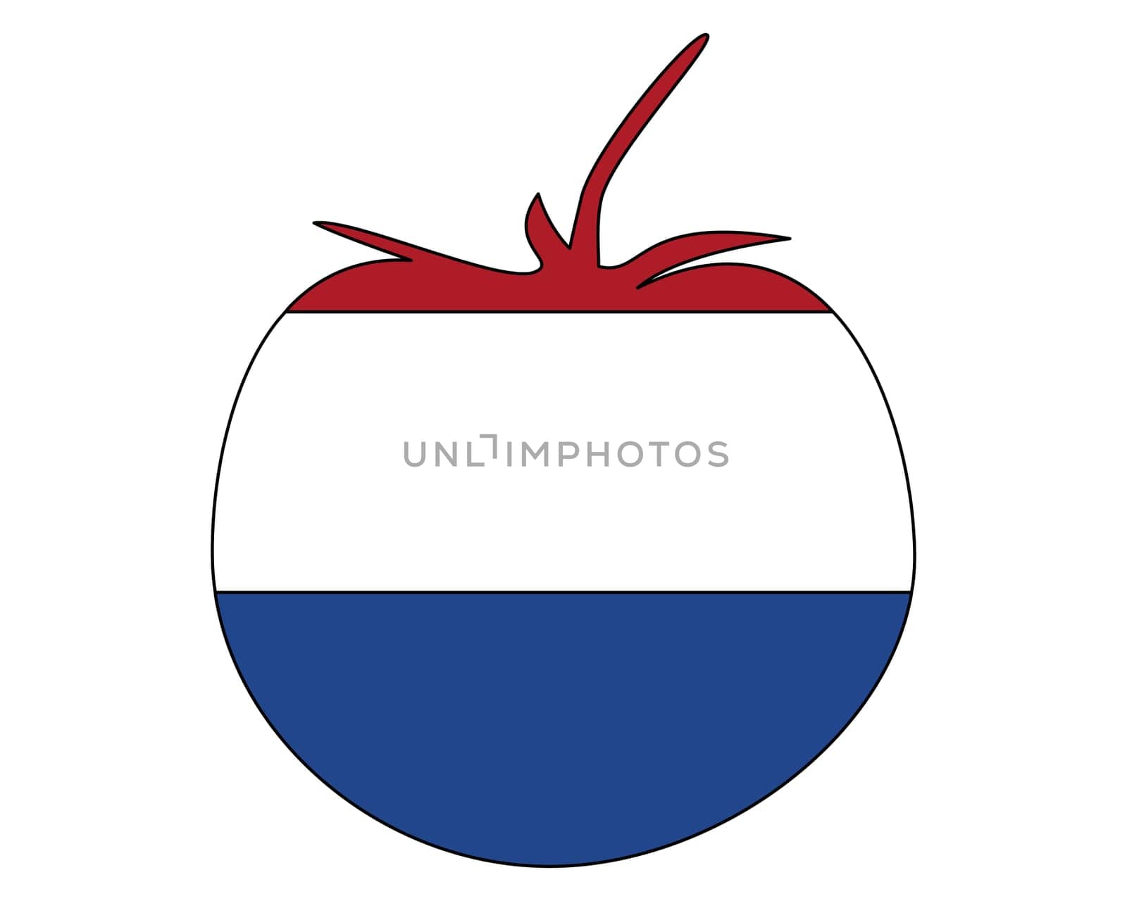 Dutch Tomato
