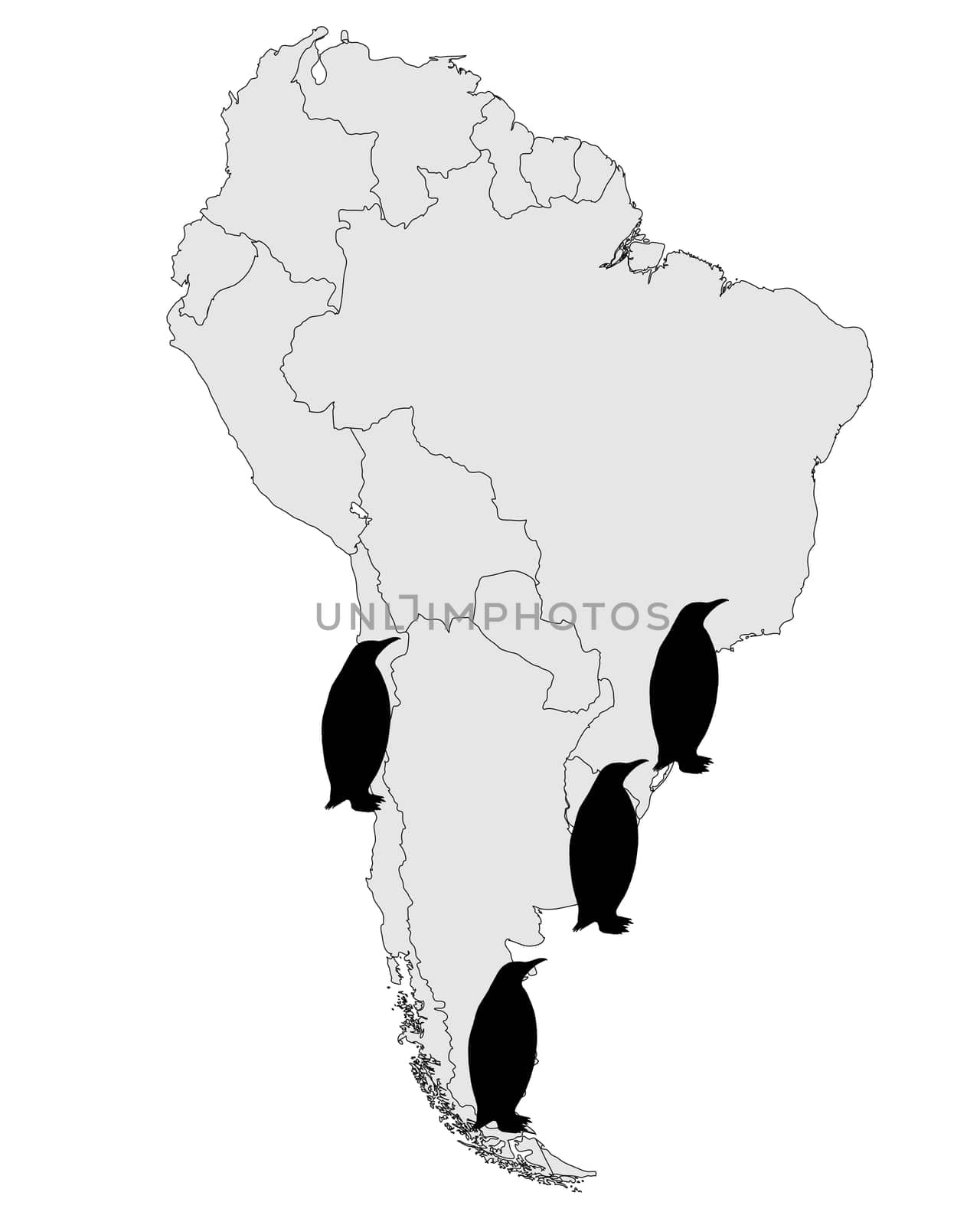 Magellanic Penguin Distribution Map