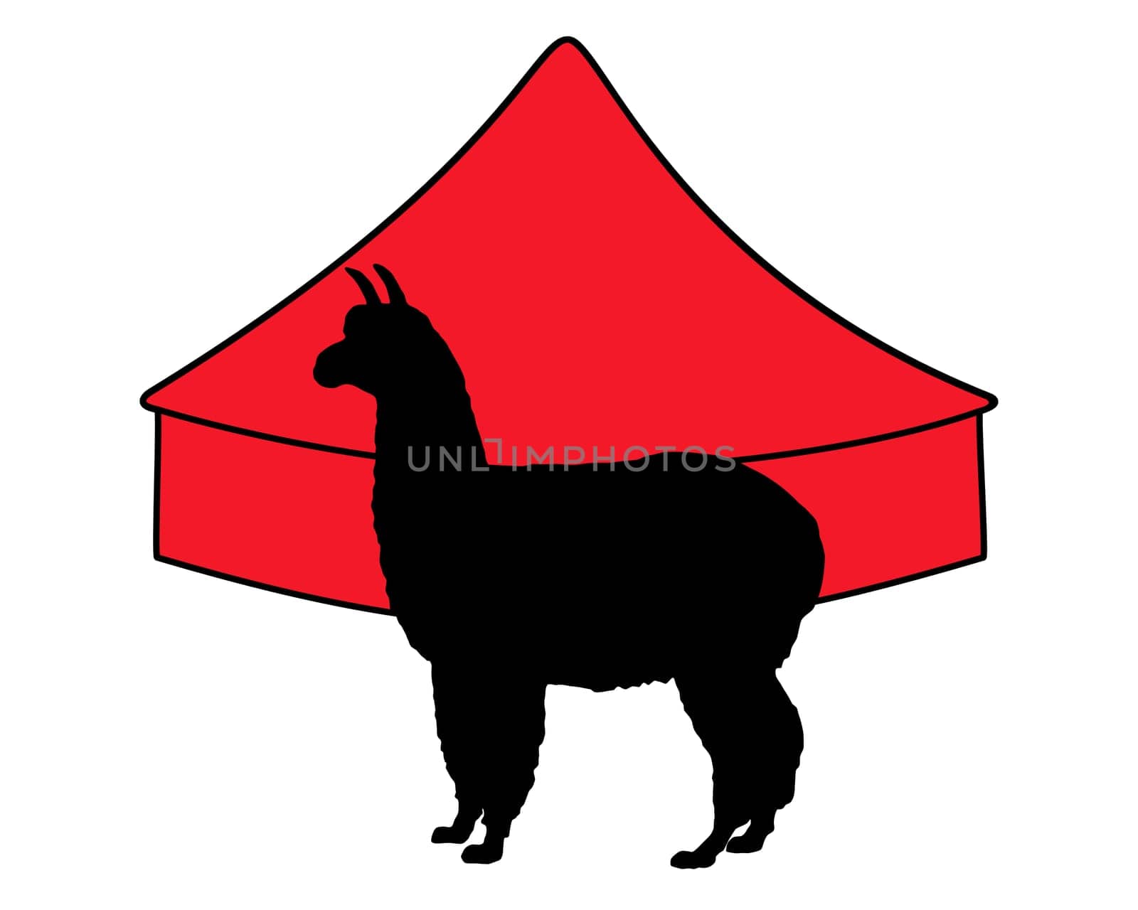 Alpaca in the circus