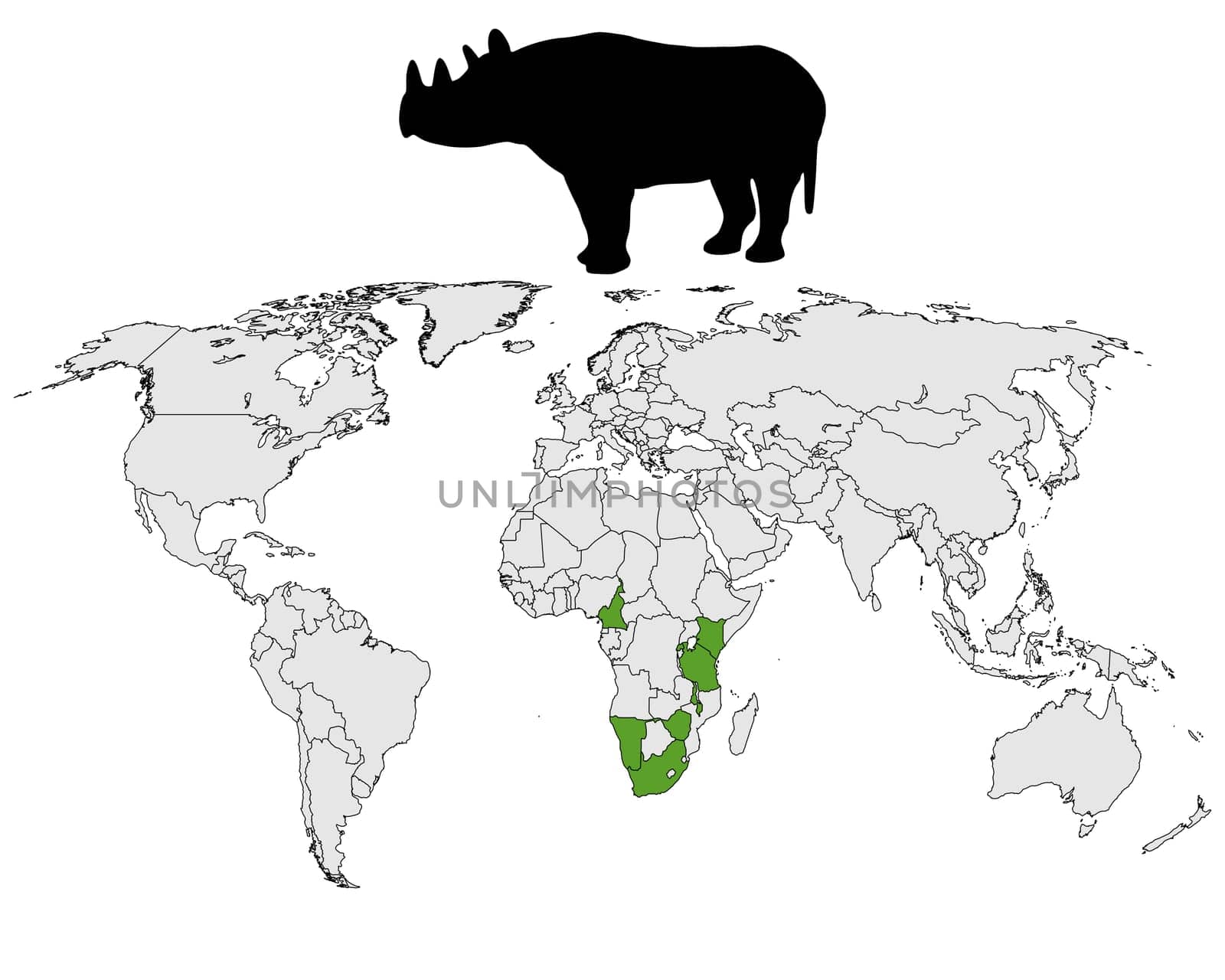 Black rhinoceros distribution
