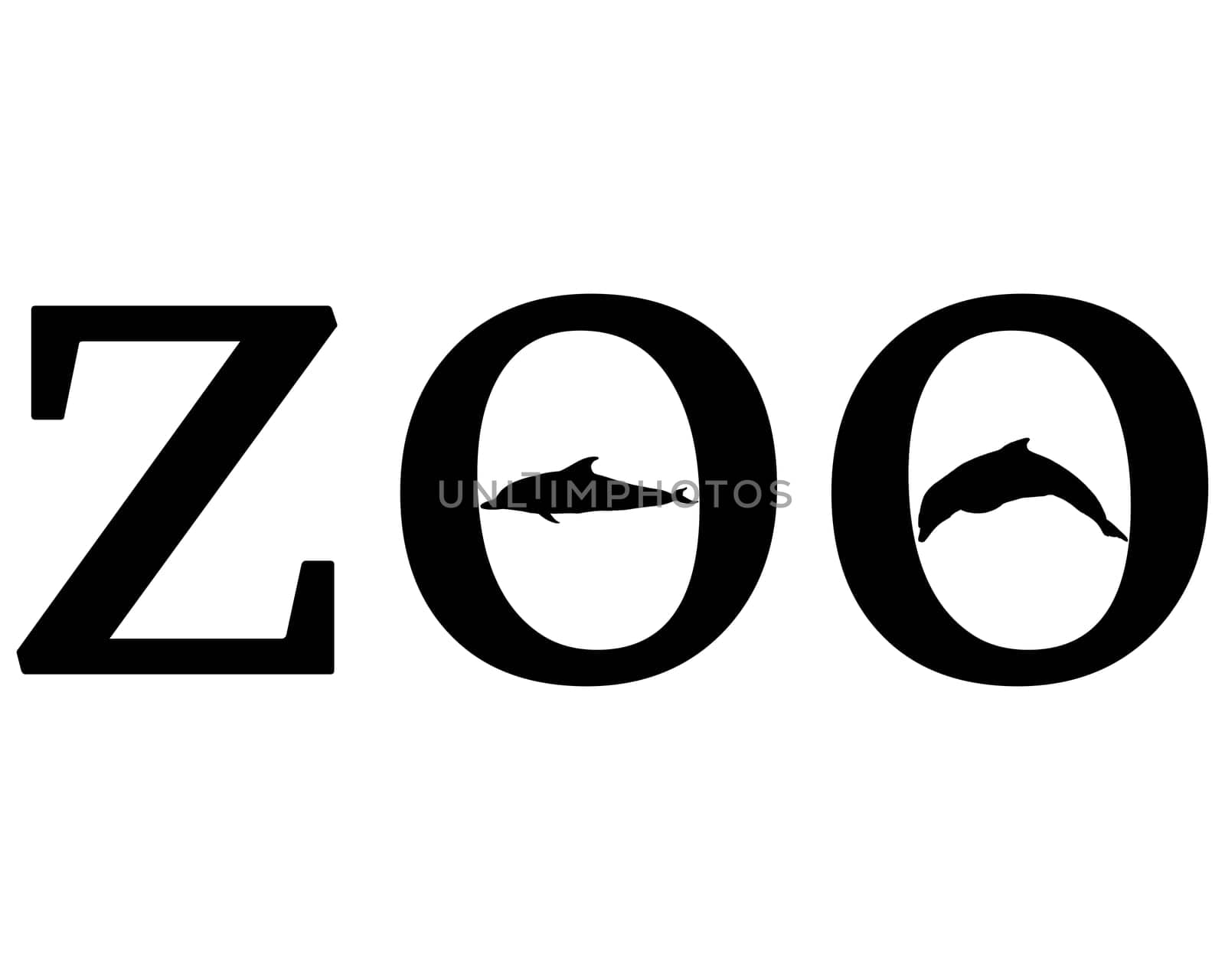 Zoo Animals
