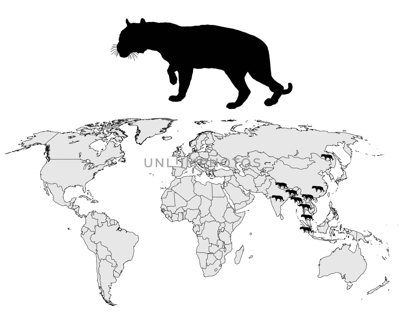 Tiger Distribution Map