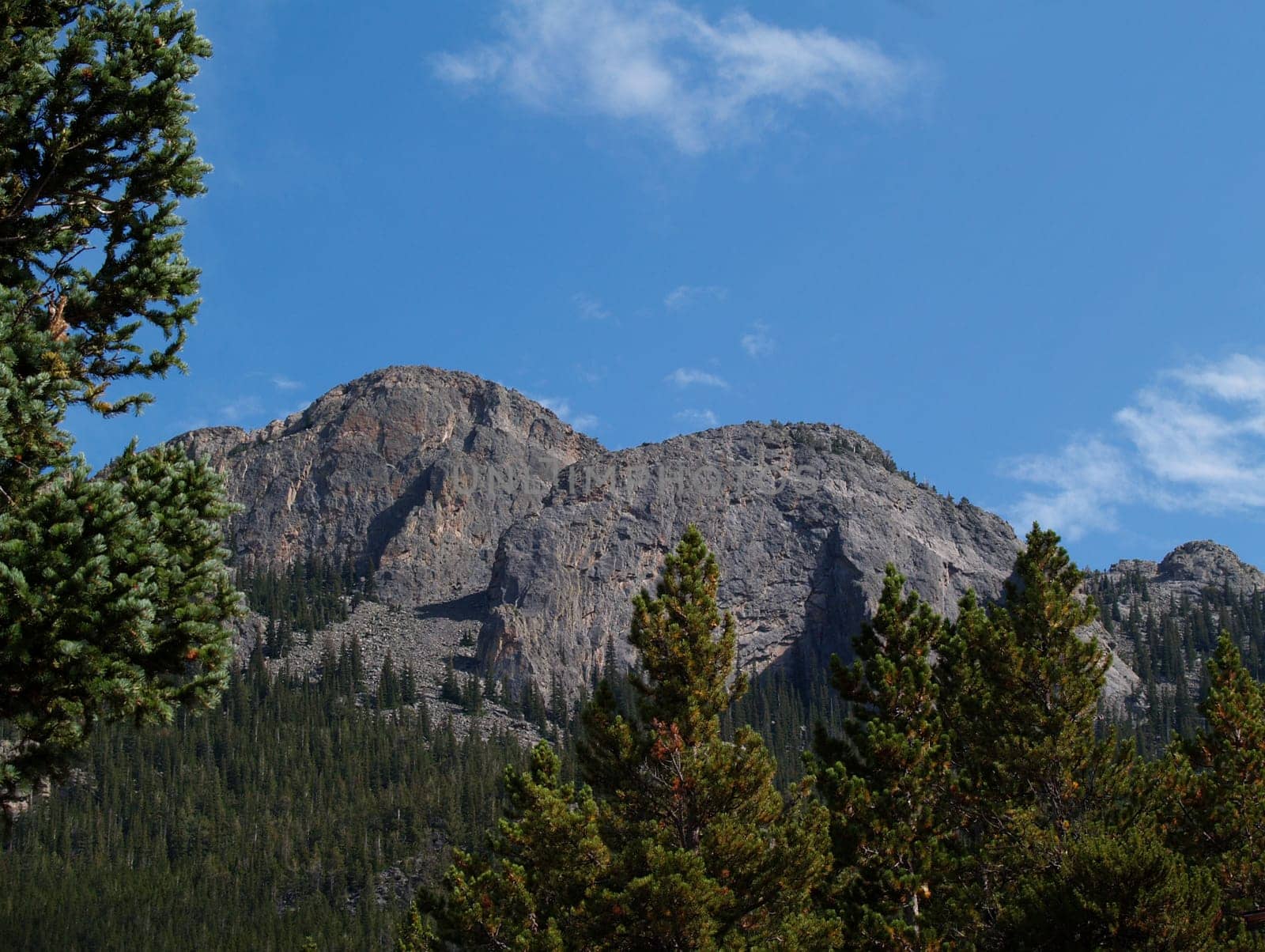 “Bald Pate Inn”, mountain, mountain peak, landscape, conifers, pine trees, clear blue sky, Estes Park, Colorado, rocky mountain peak, rocky, rocky, range, USA