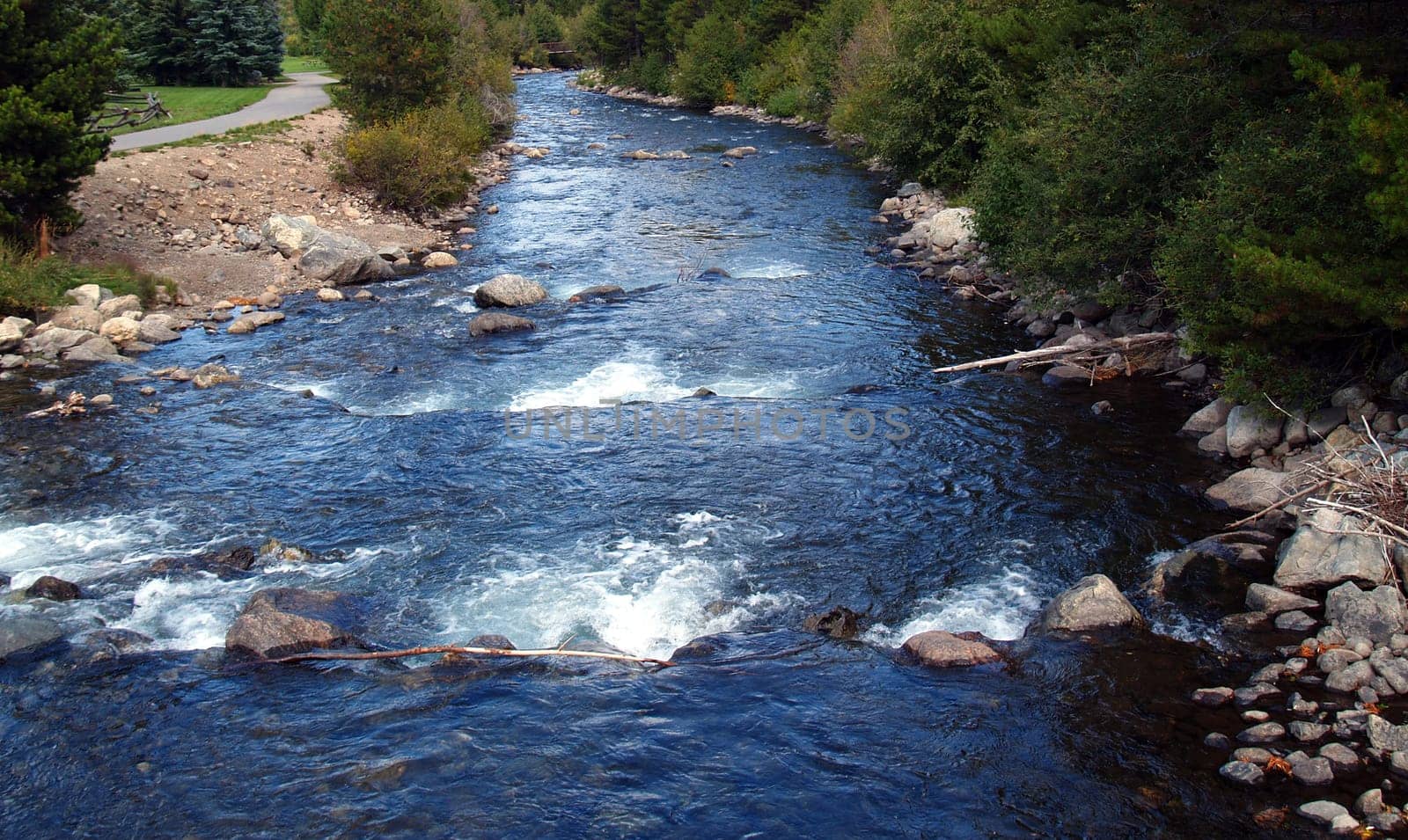 Mountain path along a rushing stream in Colorado