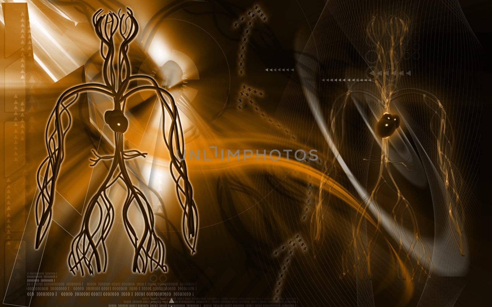 Digital illustration of vascular system in colour background