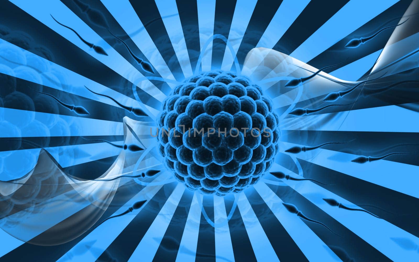 Digital illustration of Sperm and Egg in colour background