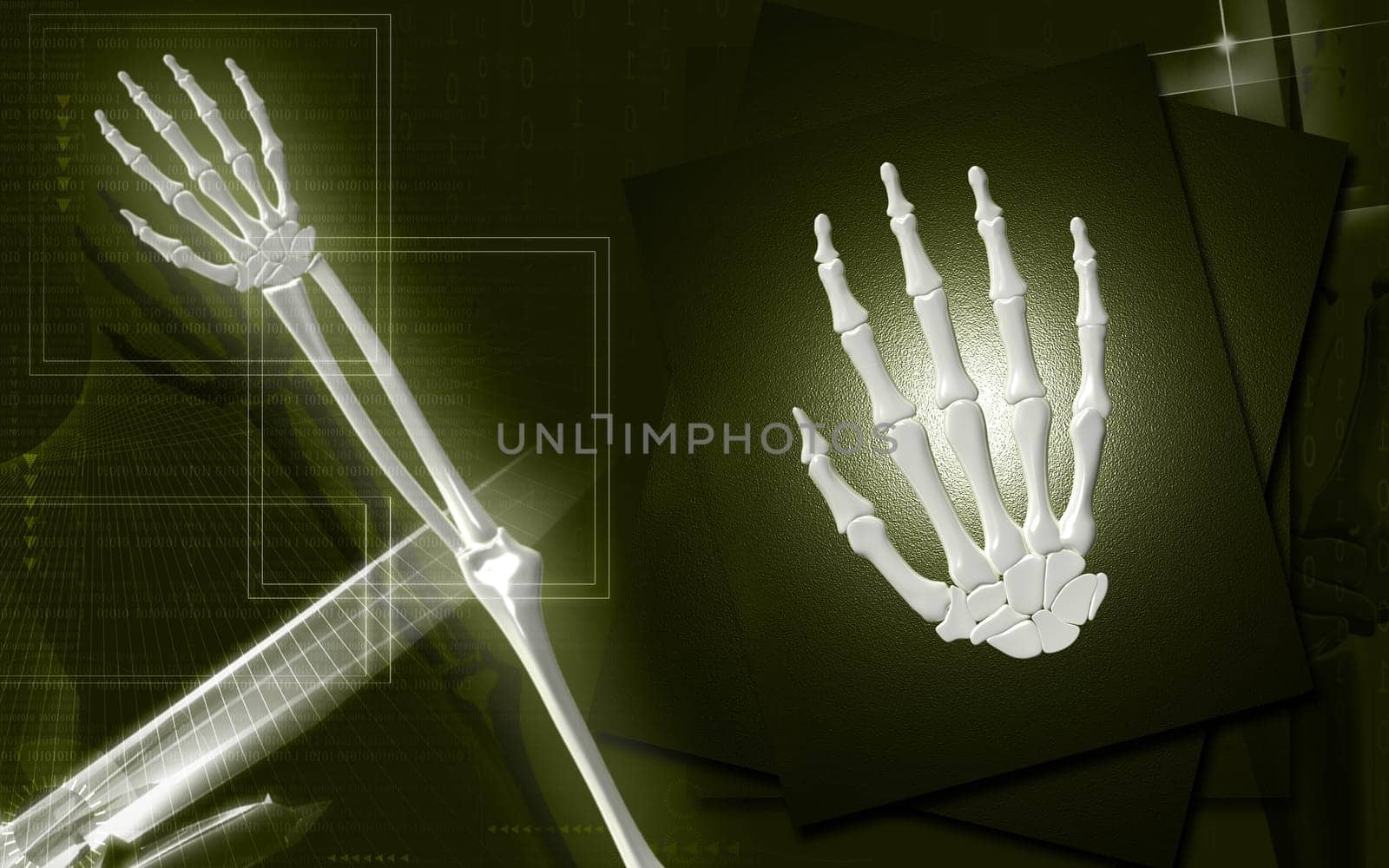 Digital illustration of hand bone in colour background