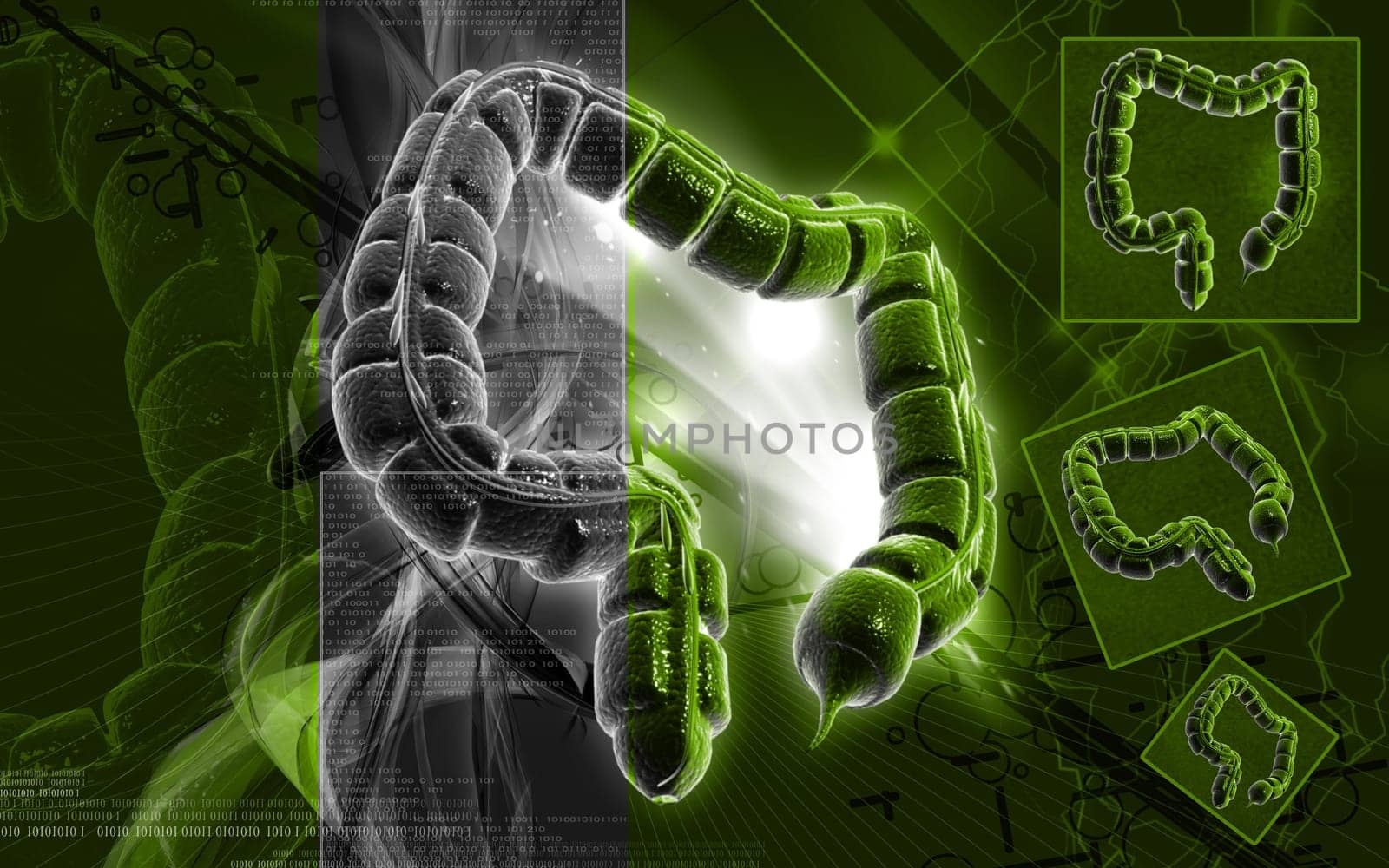 Digital illustration of large intestine in colour background